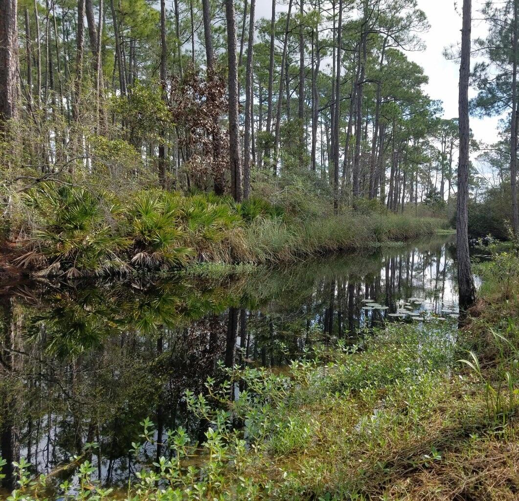 Basin Bayou Area - Land