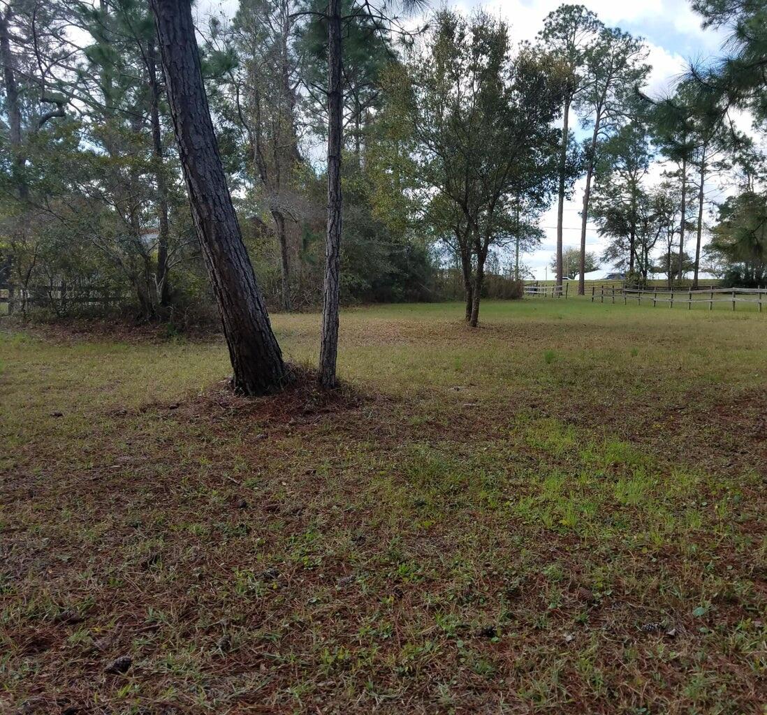 Basin Bayou Area - Land