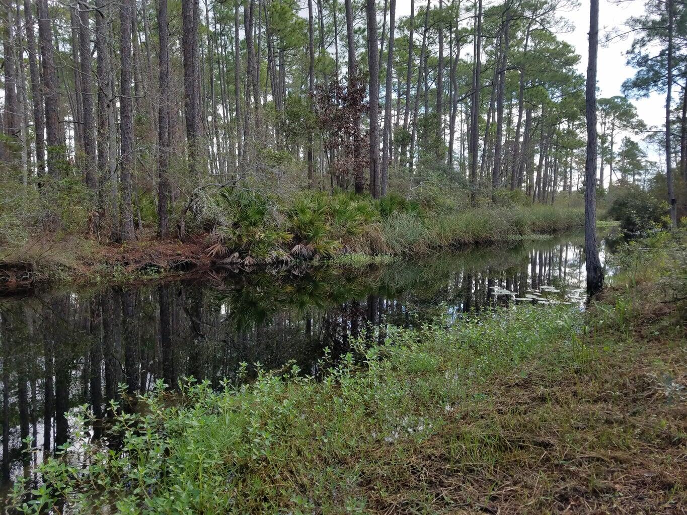 Basin Bayou Area - Land