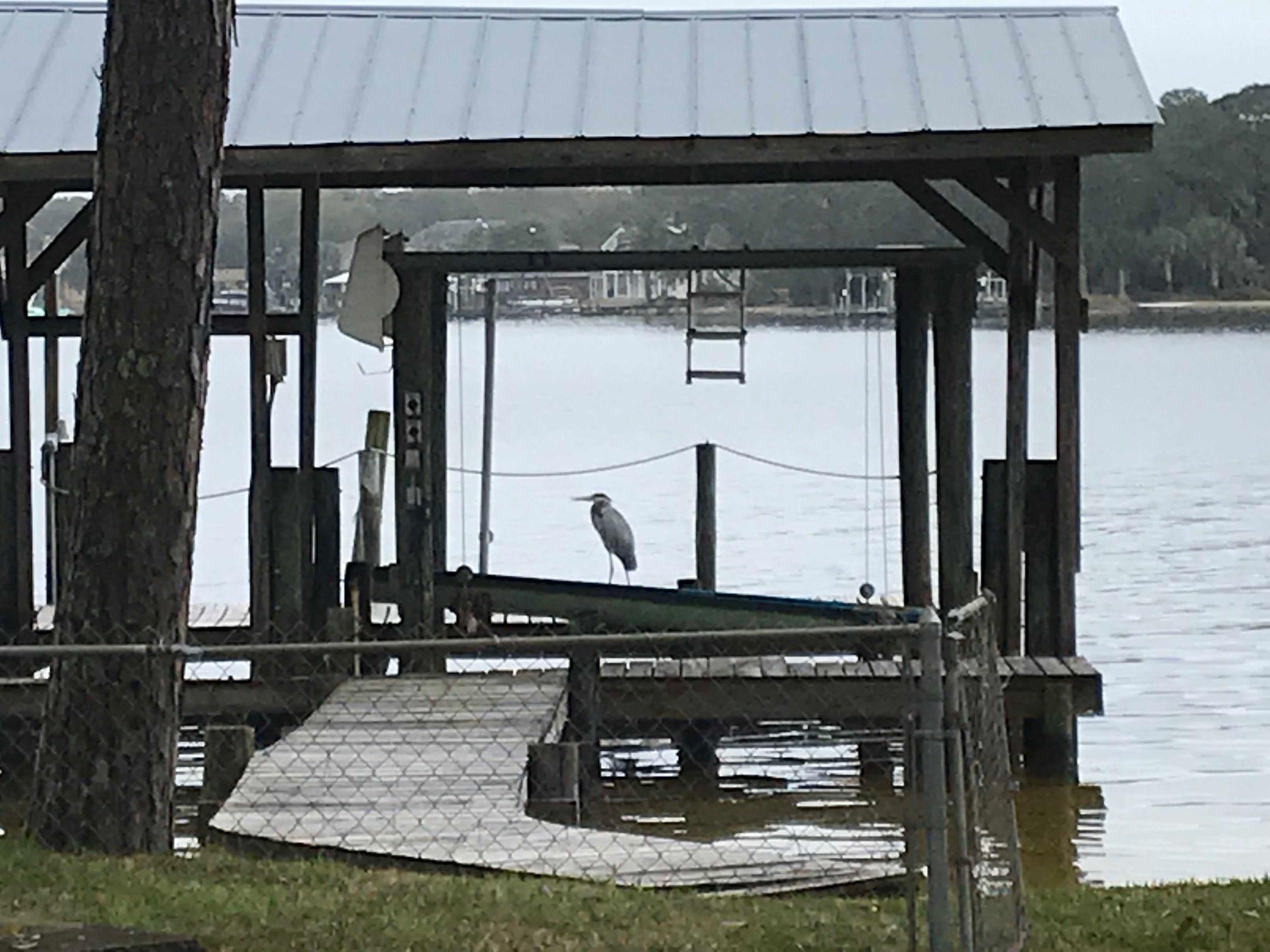 GARNIERS BEACH - Residential