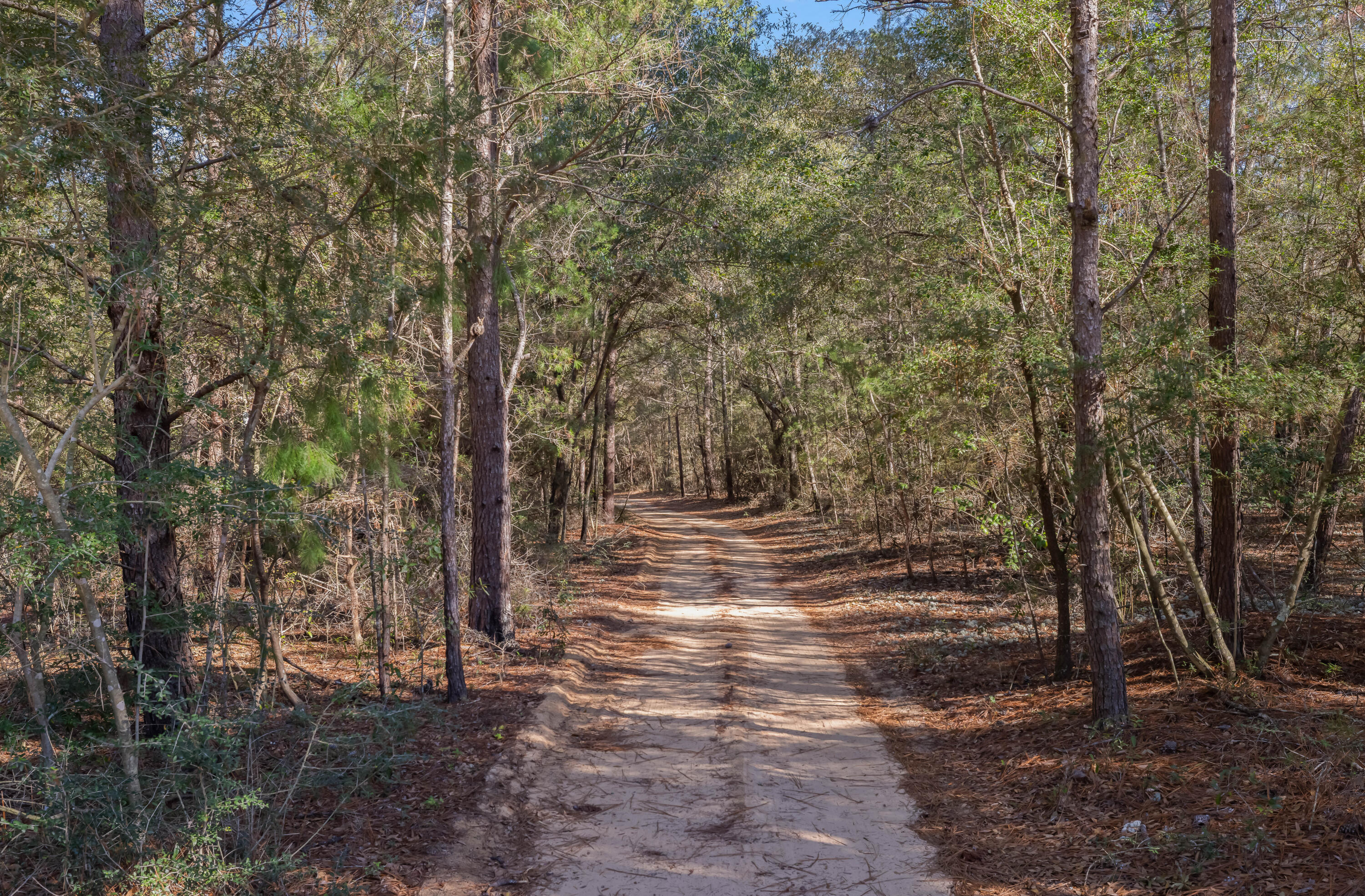 Rock Hill - Residential