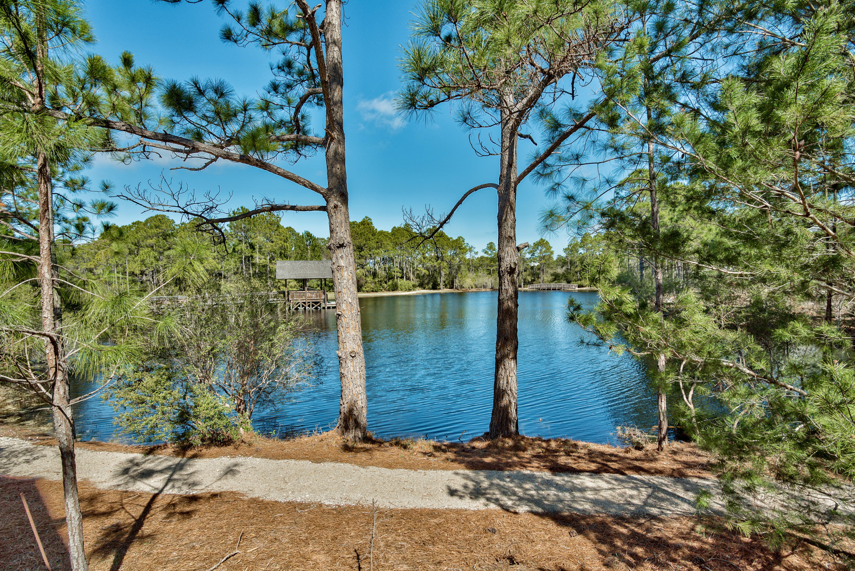 FOREST LAKES - Residential