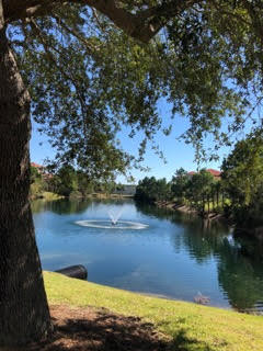 CALUSA BAY S/D - Residential