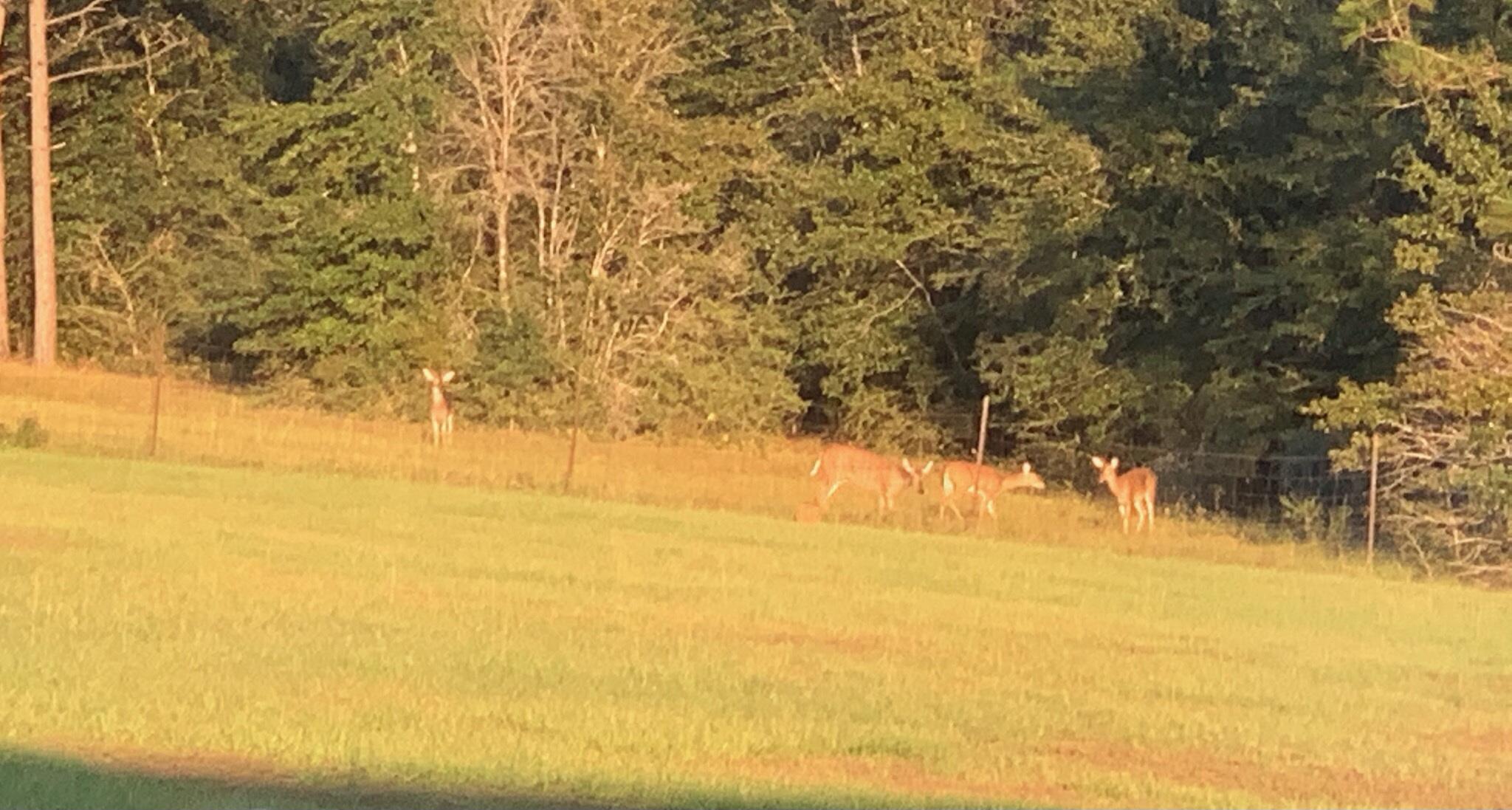 AUBURN HEIGHTS - Residential