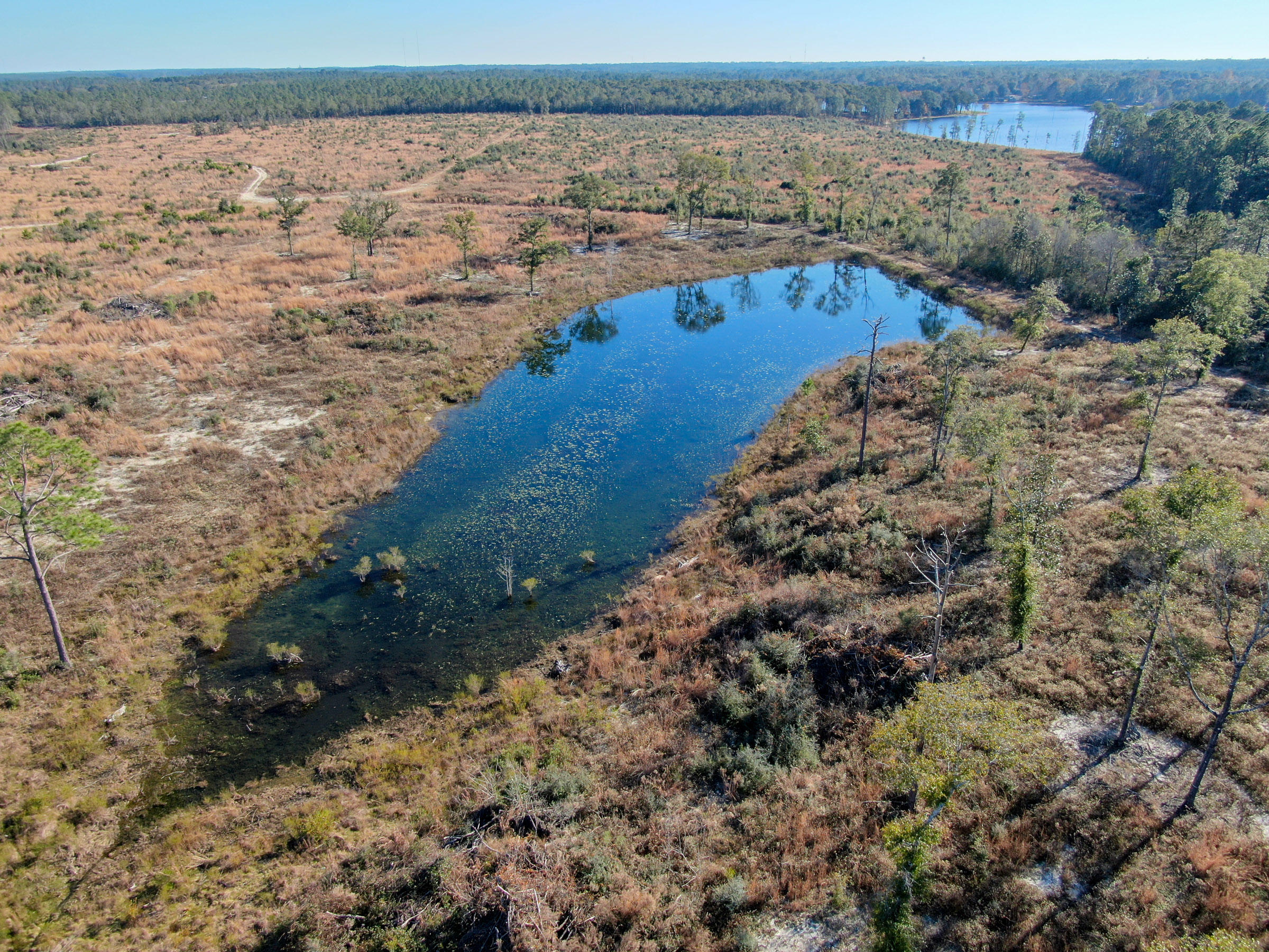 104 AC Lake Juniper - Land