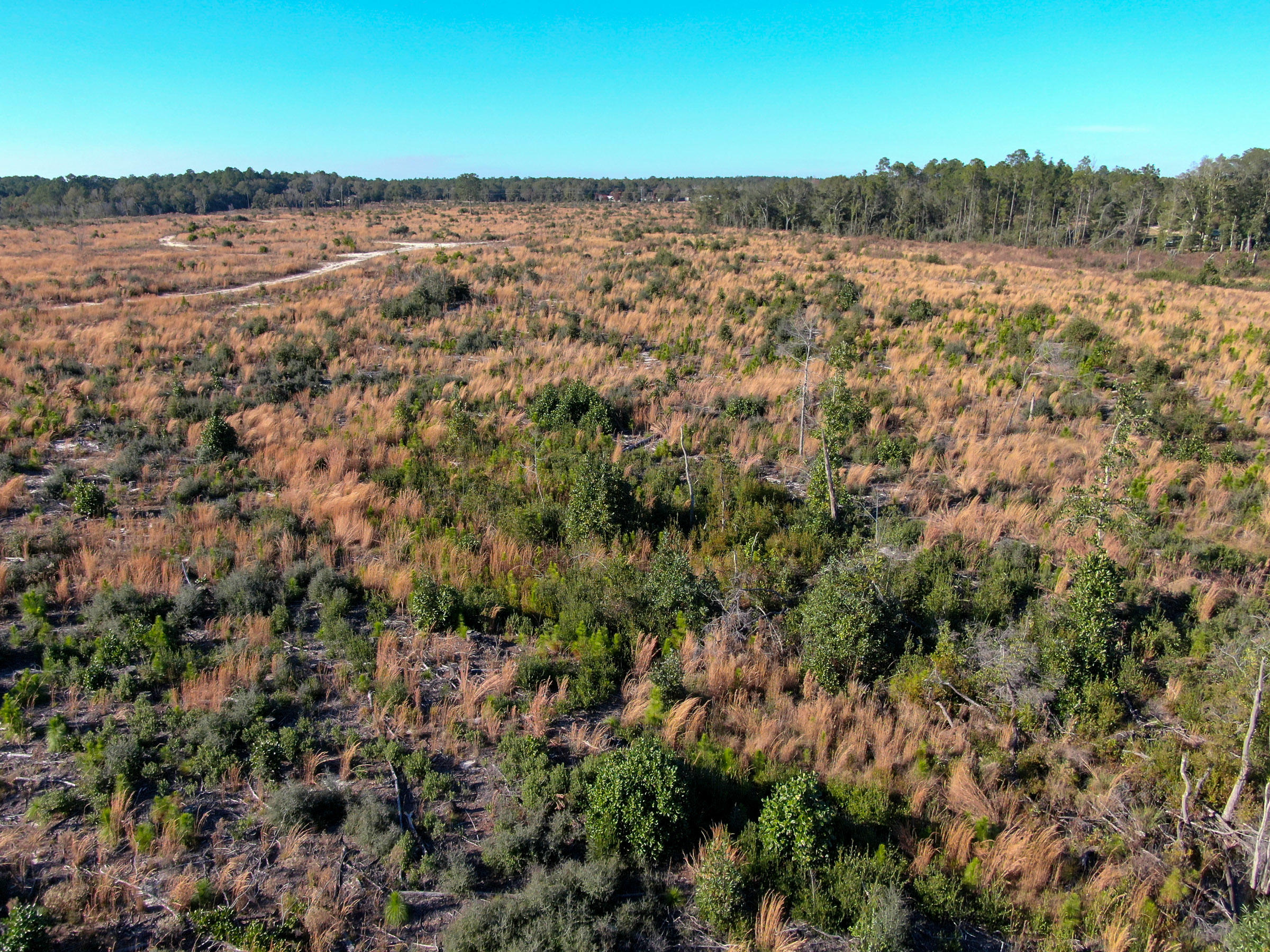 104 AC Lake Juniper - Land