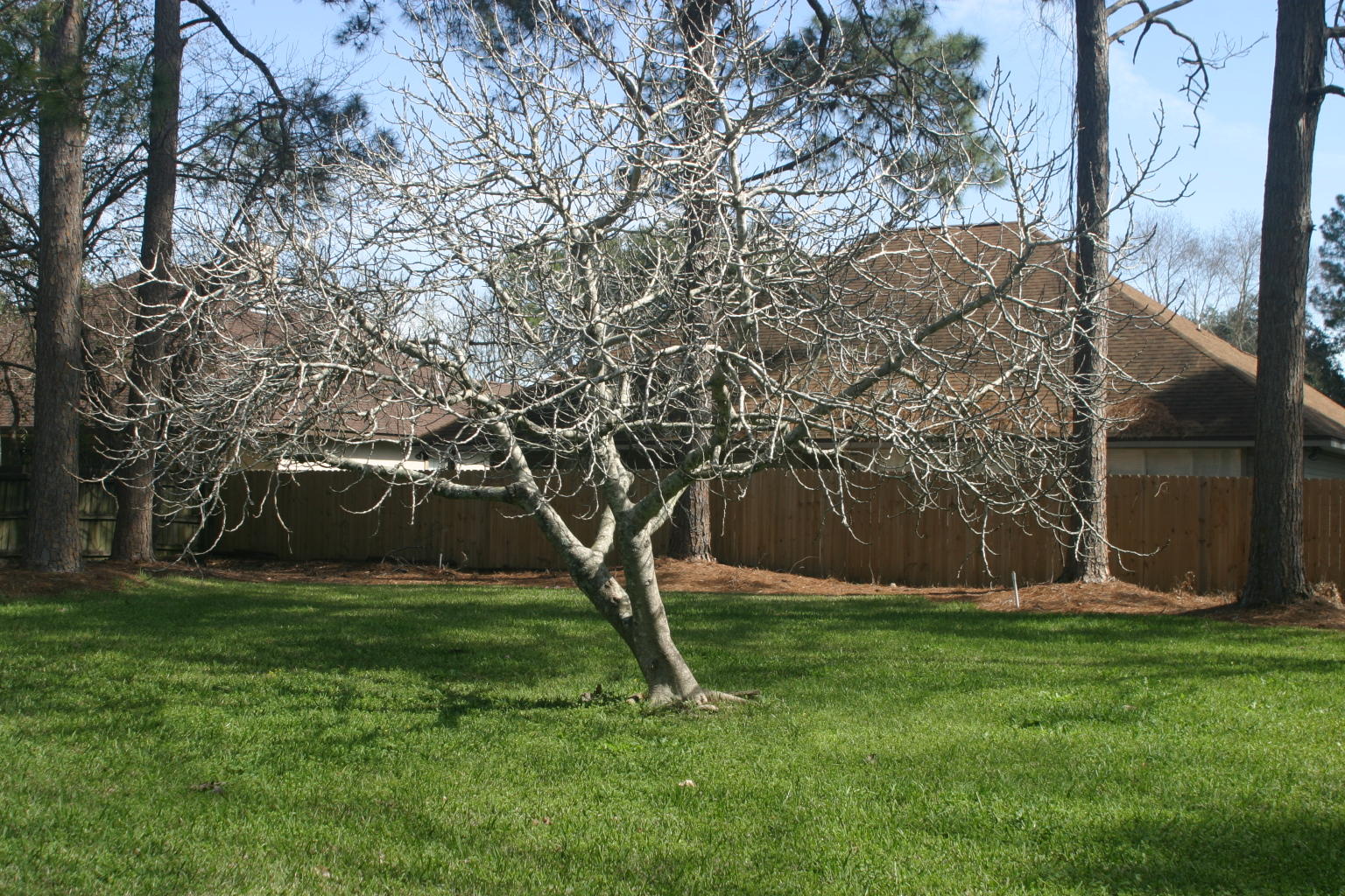 VALPARAISO PINECREST 6 - Residential