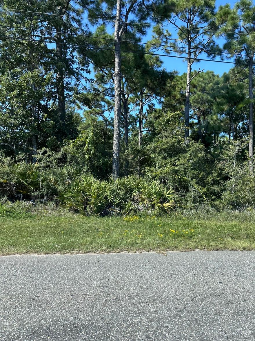 .459 wooded acre lot. Almost half an acre in the heart of Navarre! Build your dream home here and you will be minutes away from Navarre Beach, shopping, schools, restaurants, and much more. All utilities available  X flood zone.