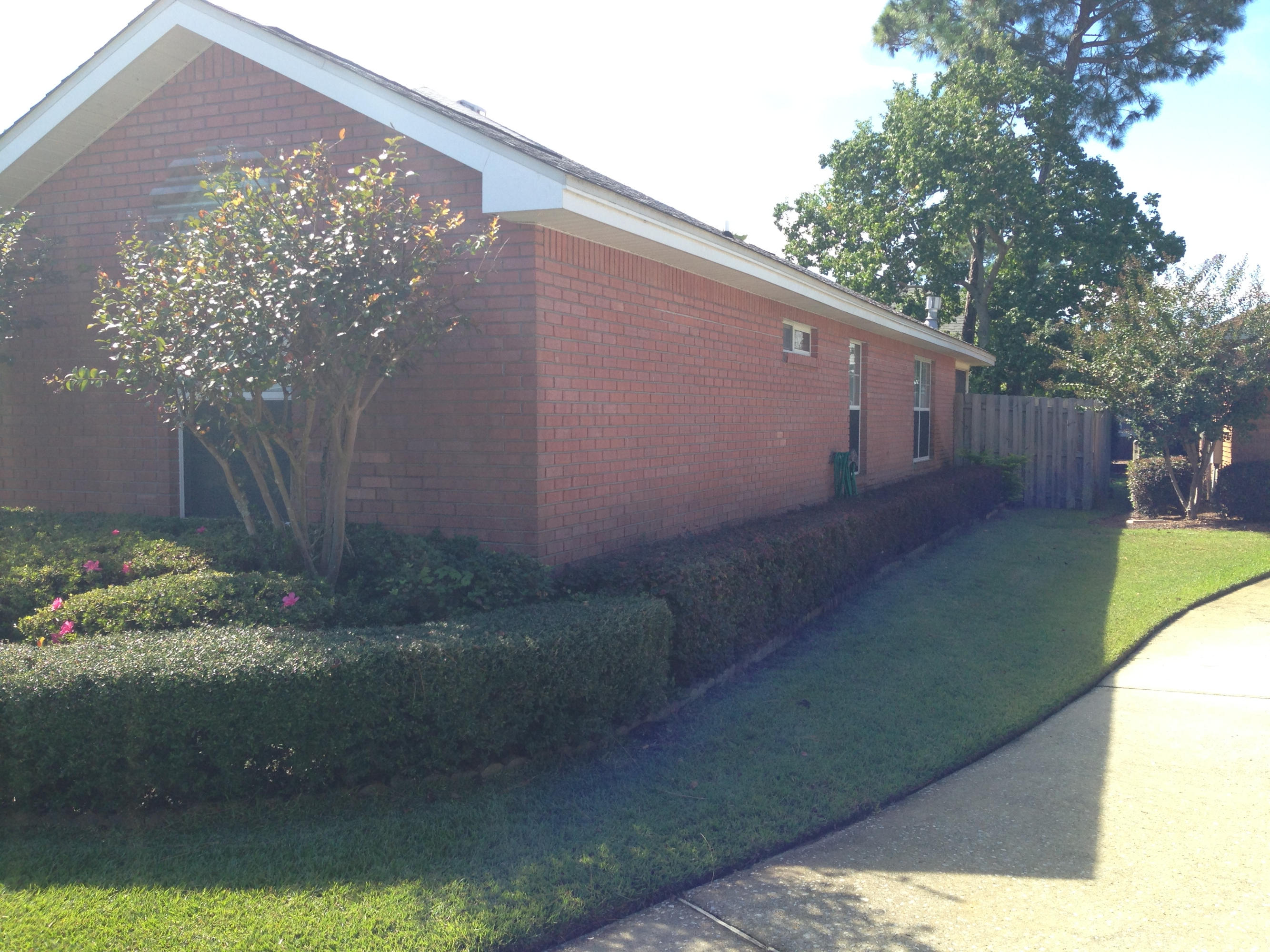 TREETOPS AT BAYSIDE - Residential