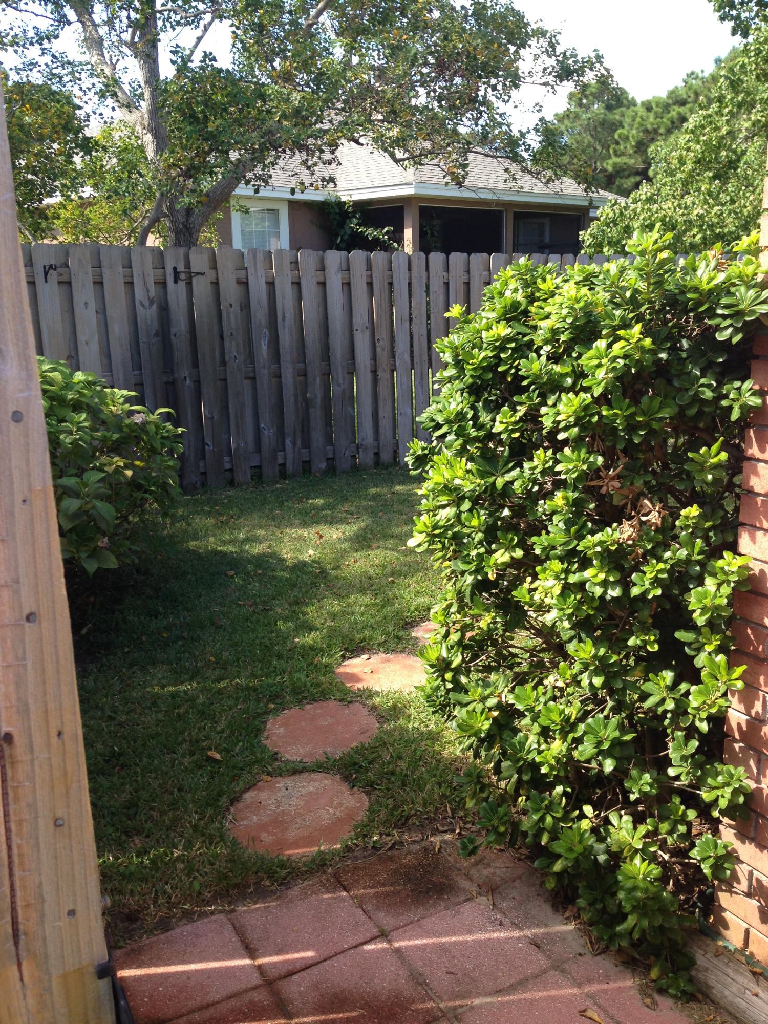 TREETOPS AT BAYSIDE - Residential