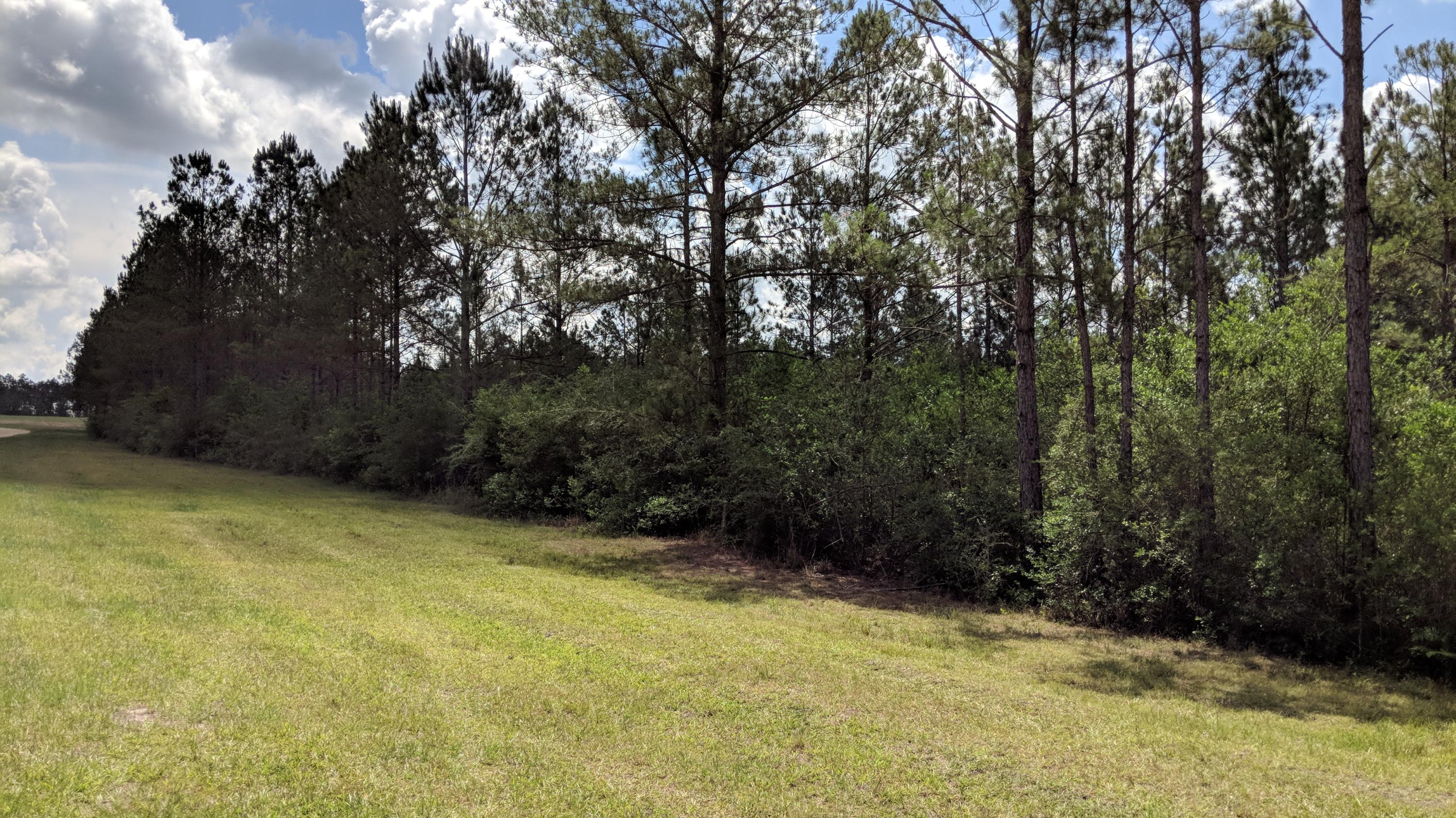 WALTON PLANTATION - Land