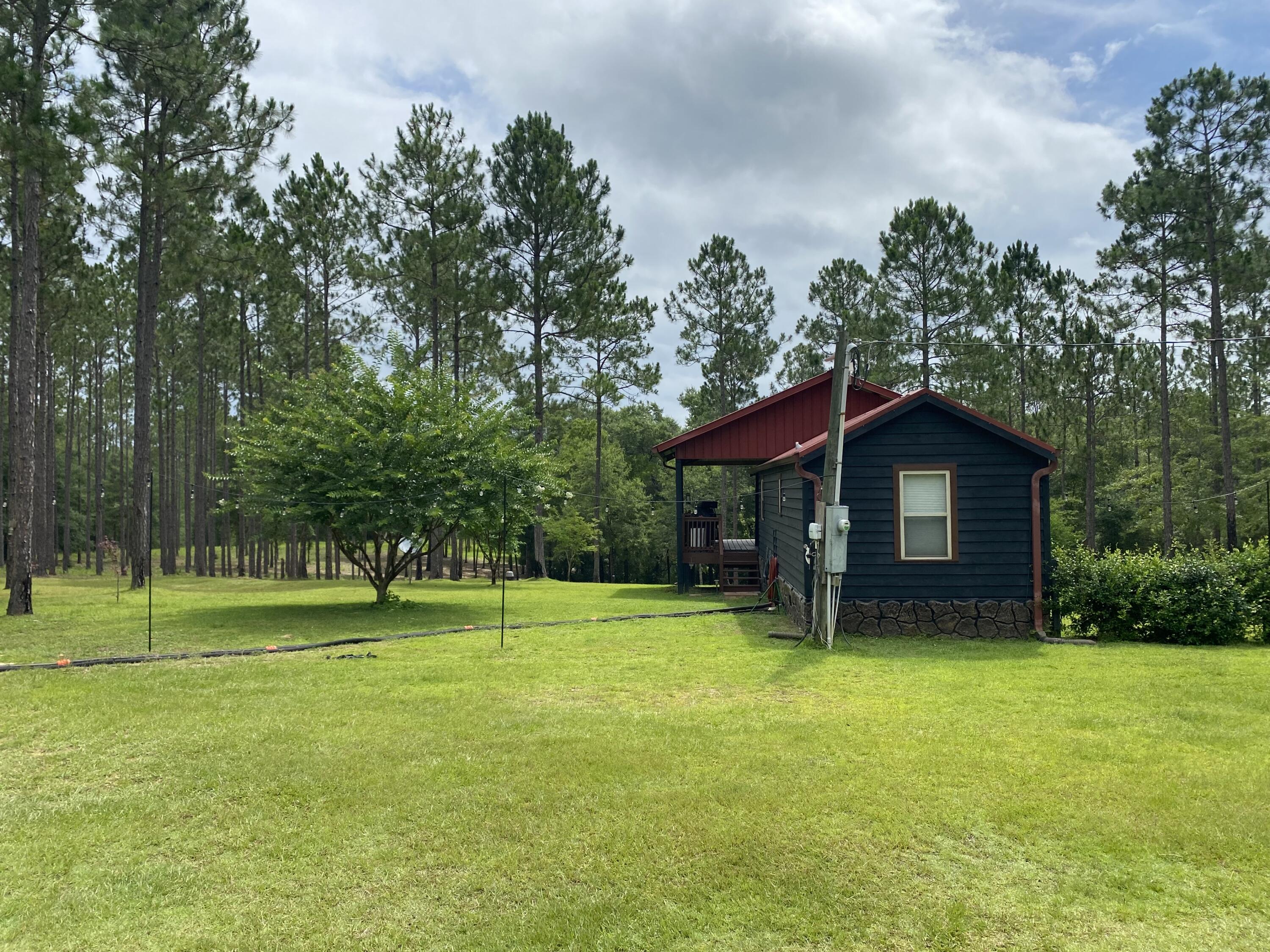 WALTON PLANTATION - Farm