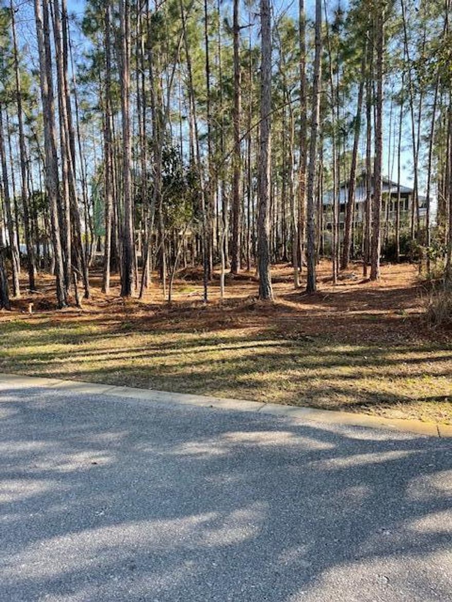 Cessna Landing is a beautiful bayfront community located off of 393 next to Cessna Landing boat launch and park. This interior lot is high and dry. Amazing upper view potential from 2nd floor porches for sunrises and sunsets over the bay.Lot is being sold with completed house plans and have already been through the preliminary review process with the DRB for quick approval. Bring your kayak, paddle board, and boat to enjoy all aspects of bay front living. This lot if a must see for water enthusiast!