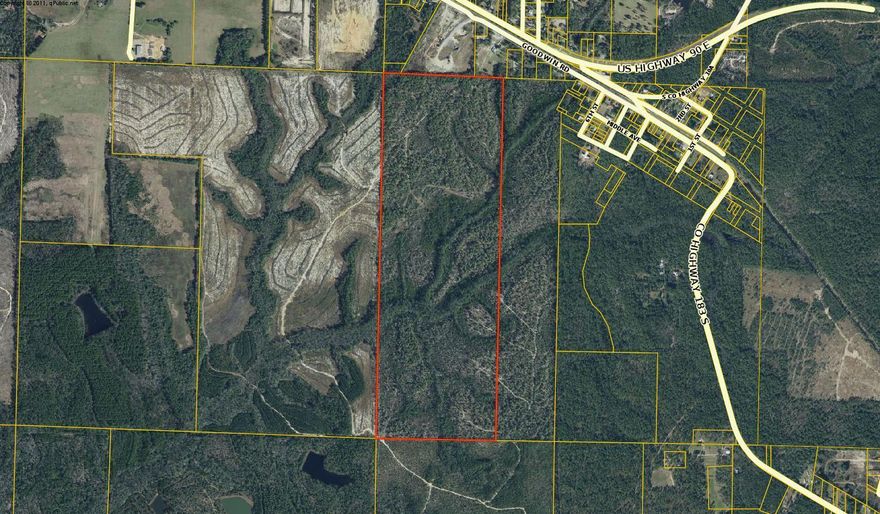 213 AC Timberland in Argyle 182 AC Pines and 30.73 Acres Hardwoods. There is an adjoining parcel of 107 Acres, (89 Acres 17.59 Ac Hardwoods) See MLS 830399for 320 Acres of contiguous Timberland and Hardwoods.