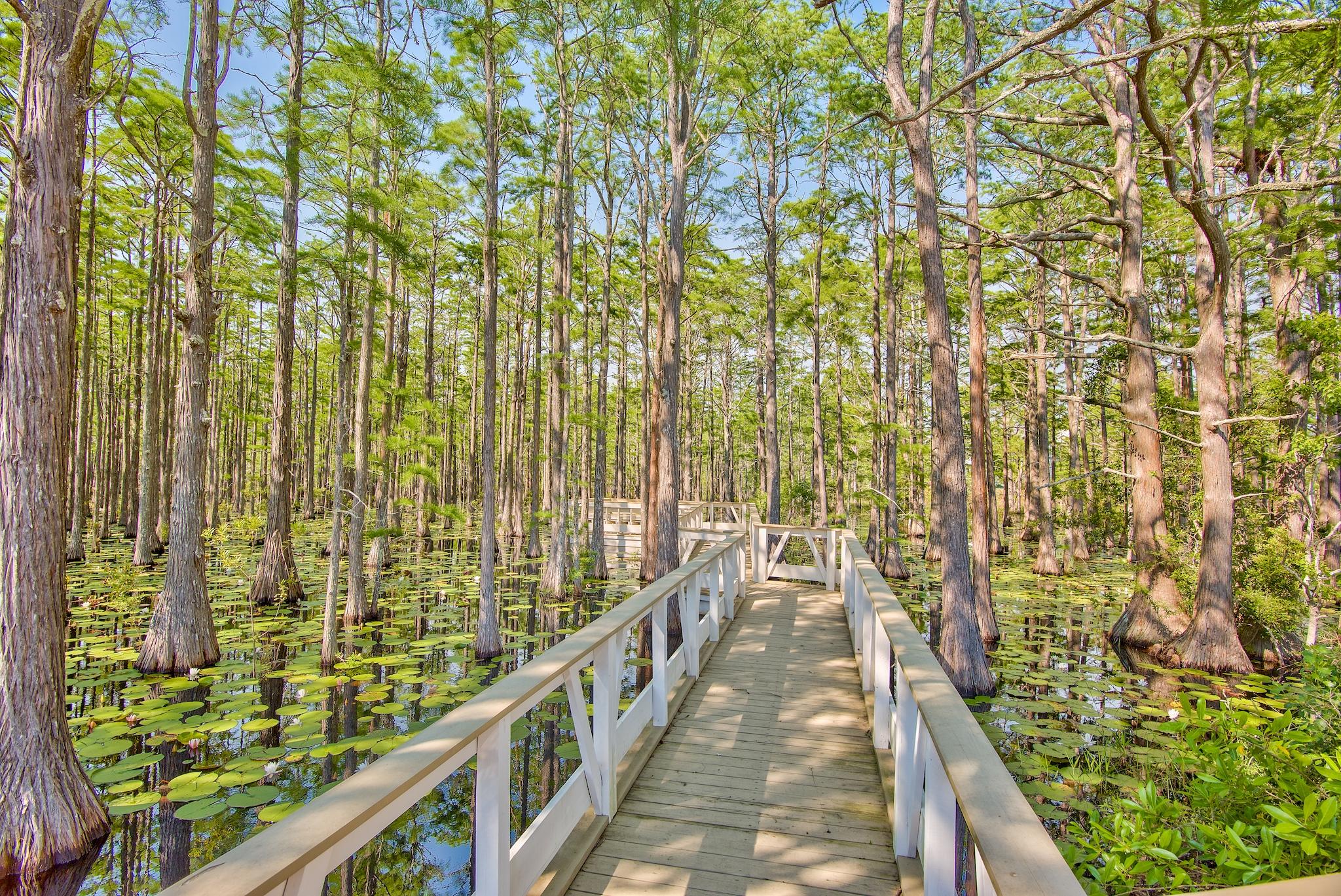 CYPRESS DUNES - Land