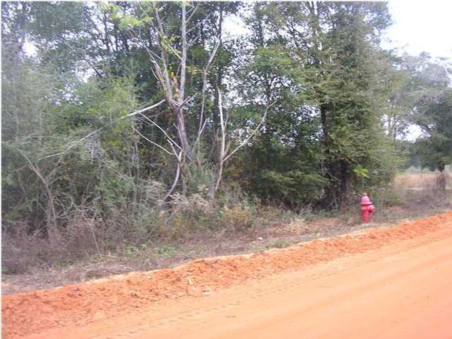 TWO ACRE LOT, NOT FAR FROM I-10, PEACEFUL COUNTRY SETTING TO BUILD YOUR NEW HOME, MOBILE HOMES ALLOWED, OWNER FINANCING AVAILABLE WITH 15% DOWN AT 10%.