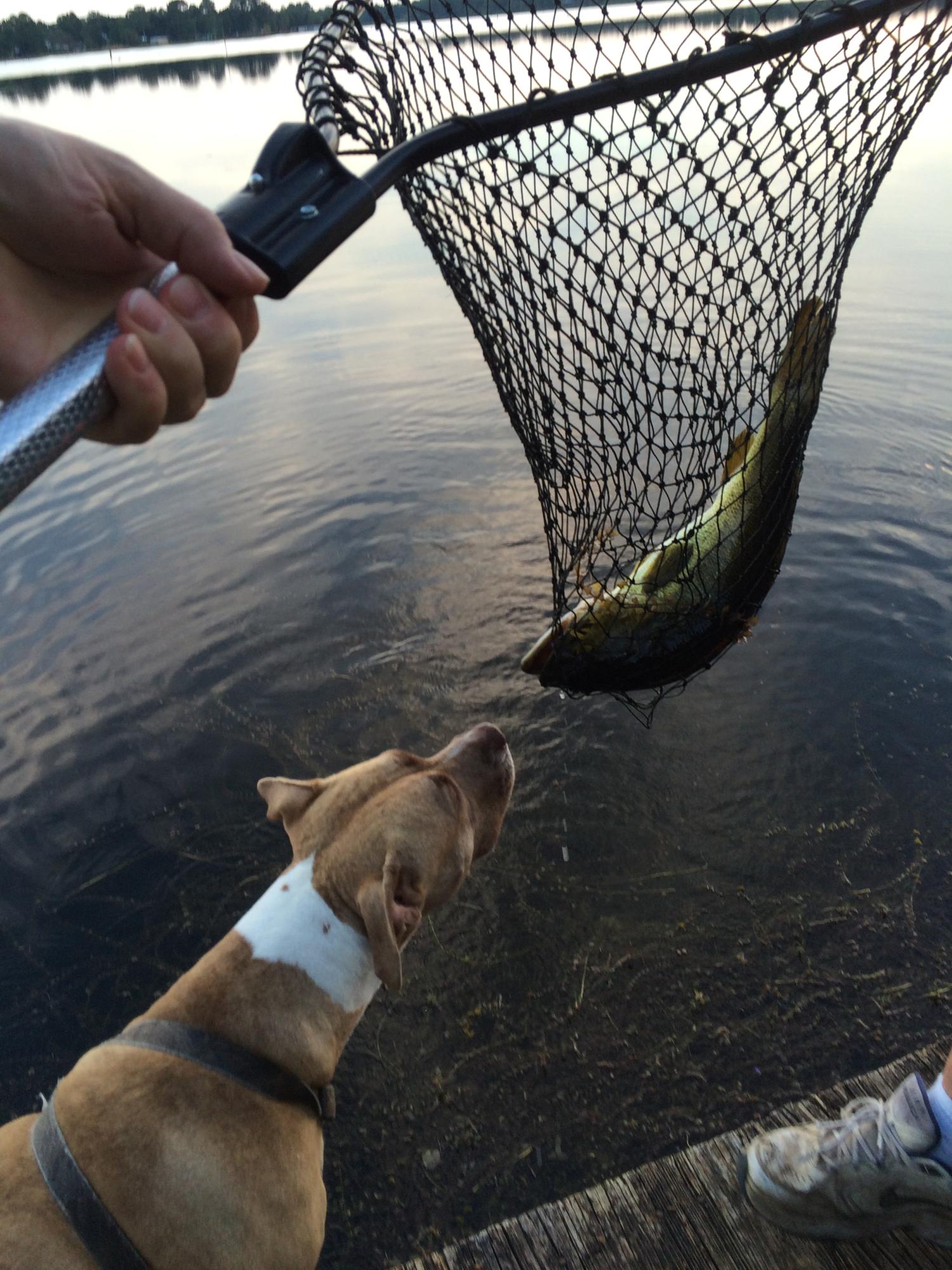 JUNIPER LAKE UNREC - Residential