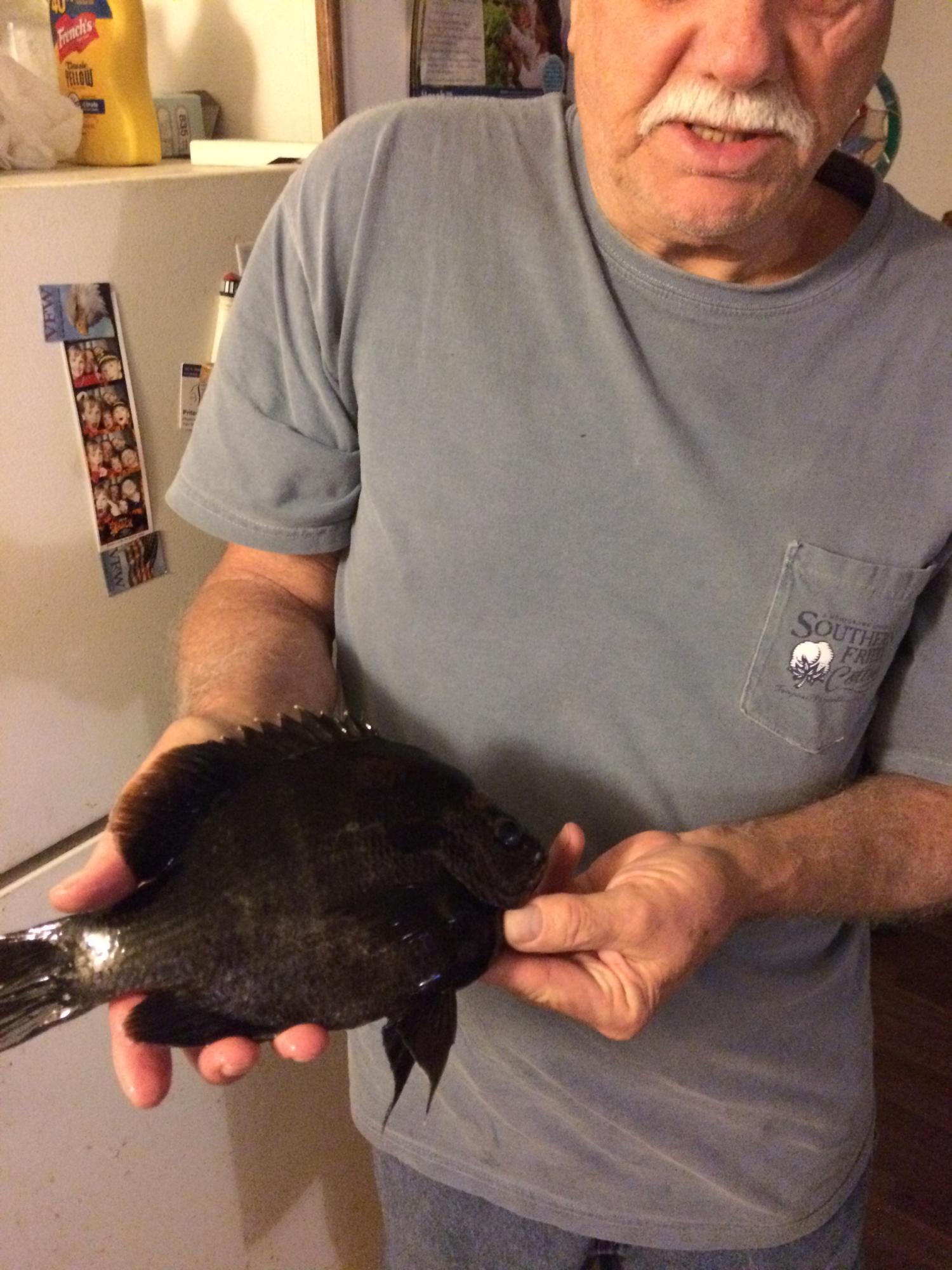 JUNIPER LAKE UNREC - Residential