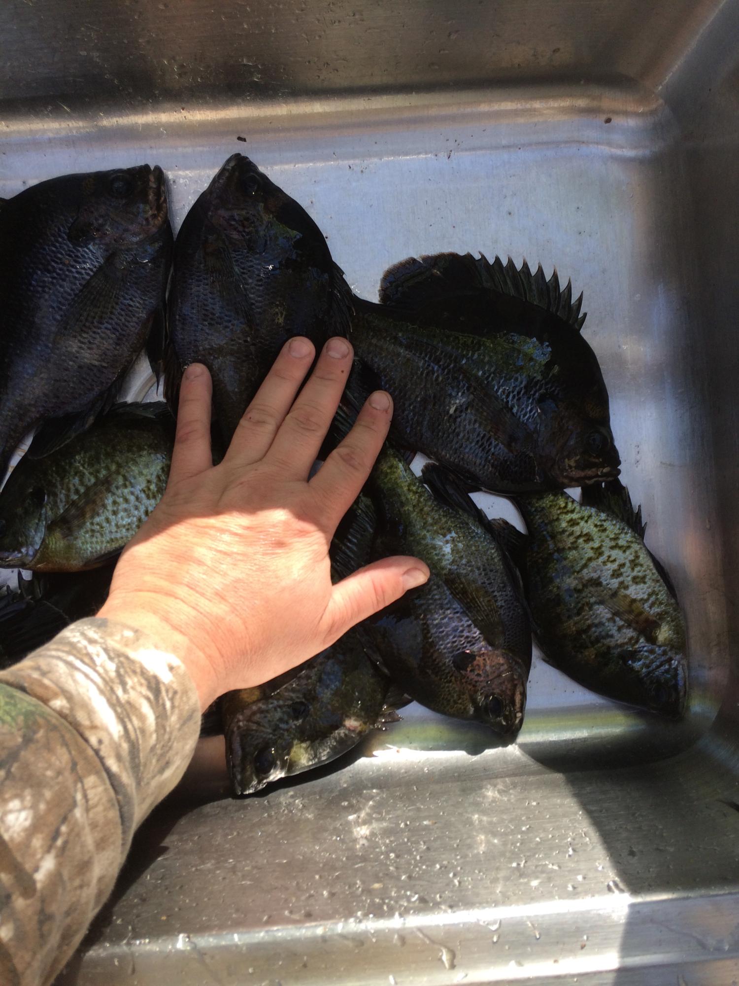 JUNIPER LAKE UNREC - Residential