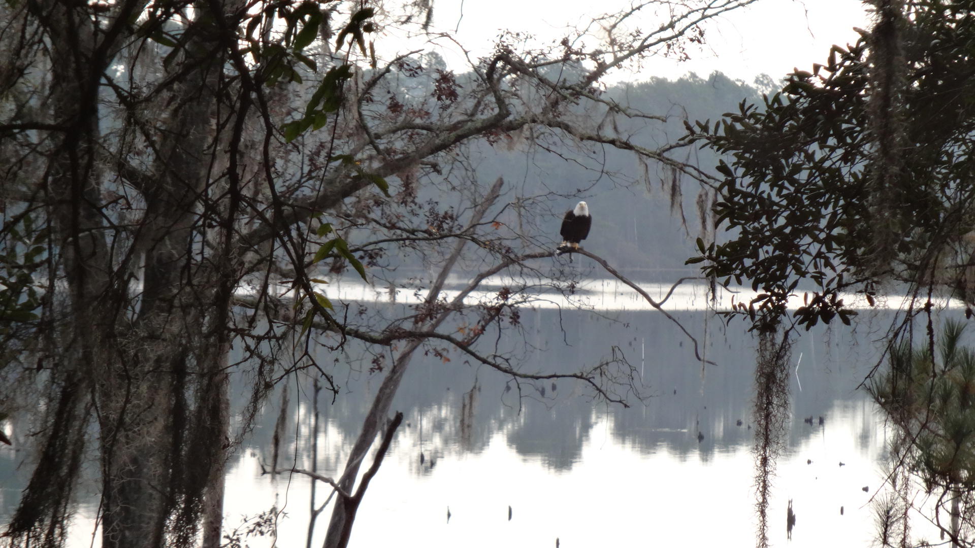 JUNIPER LAKE UNREC - Residential