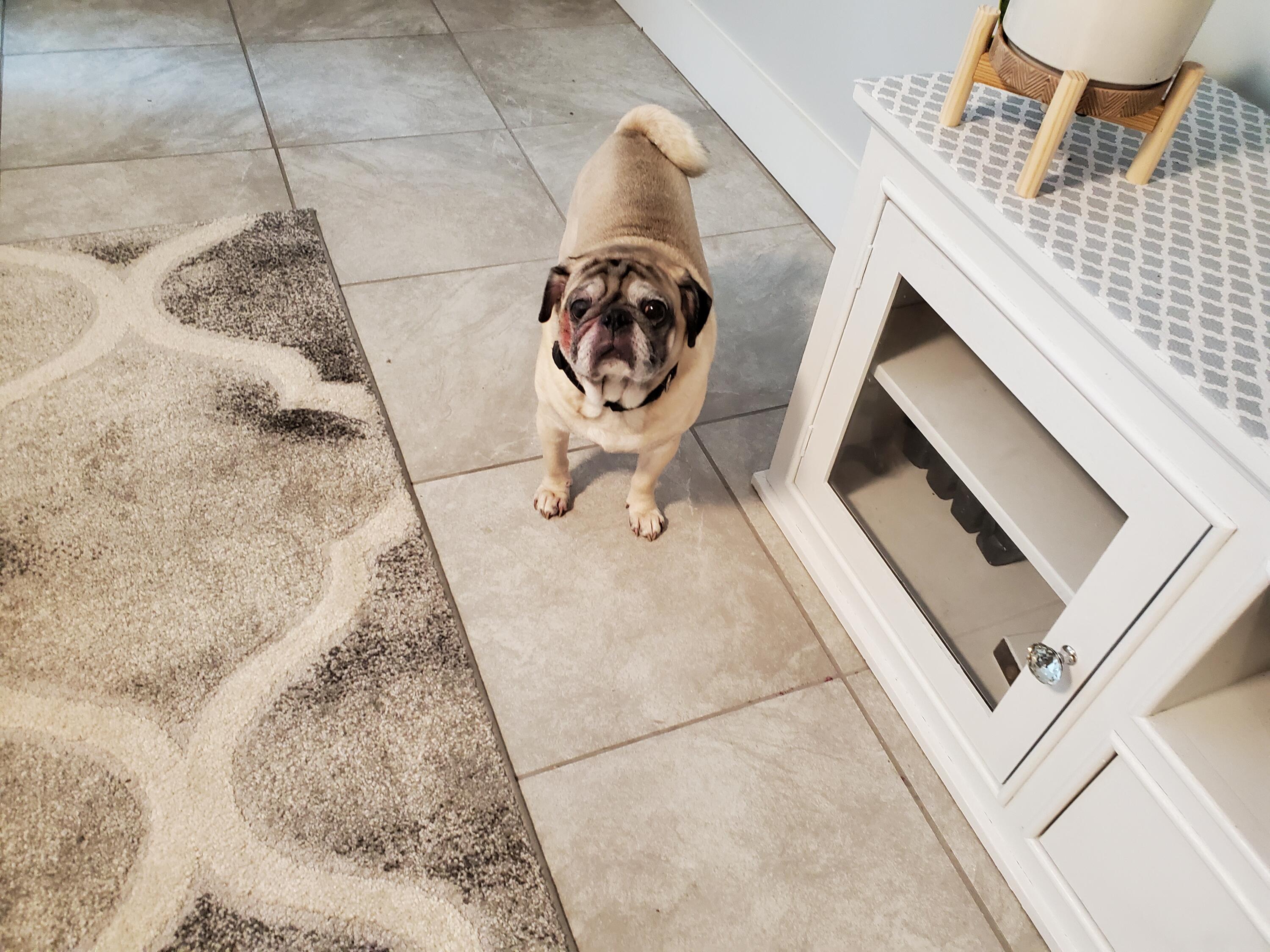 Shalimar-Port Dixie Q2 - Residential