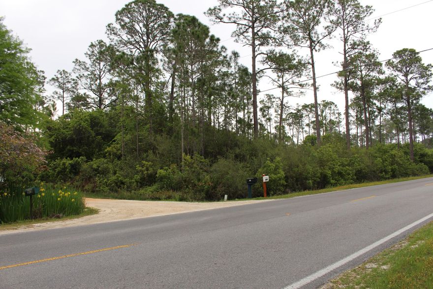 Here is your chance to own a lot on South Hwy 393 close to the beach. This could possibly be the opportunity for you to purchase that property close to the beach you have always wanted. This is a bank owned property. Might not last long. Call today!