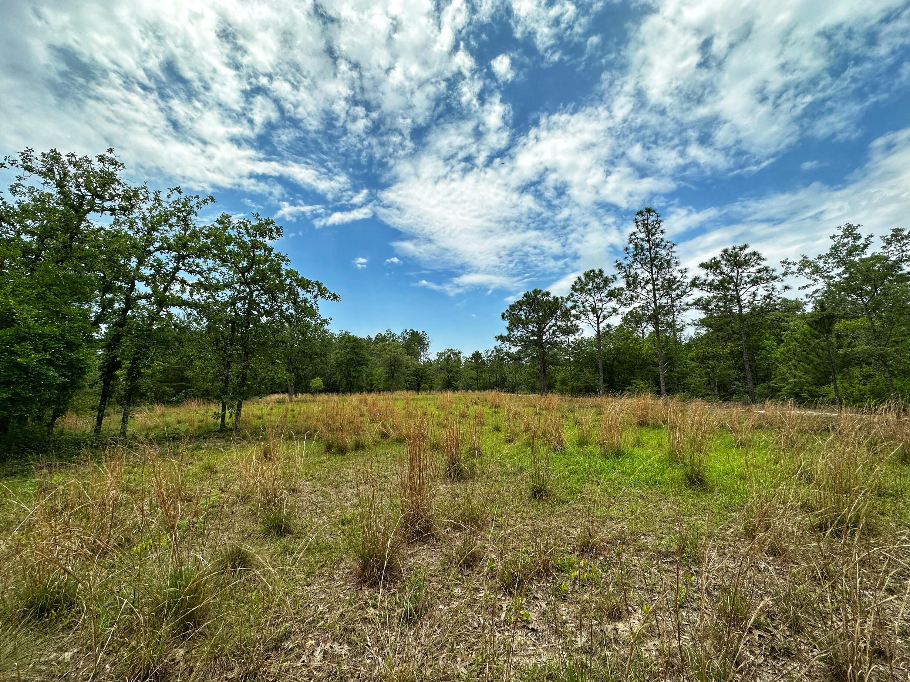 OAKWOOD HILLS UNIT IV - Land