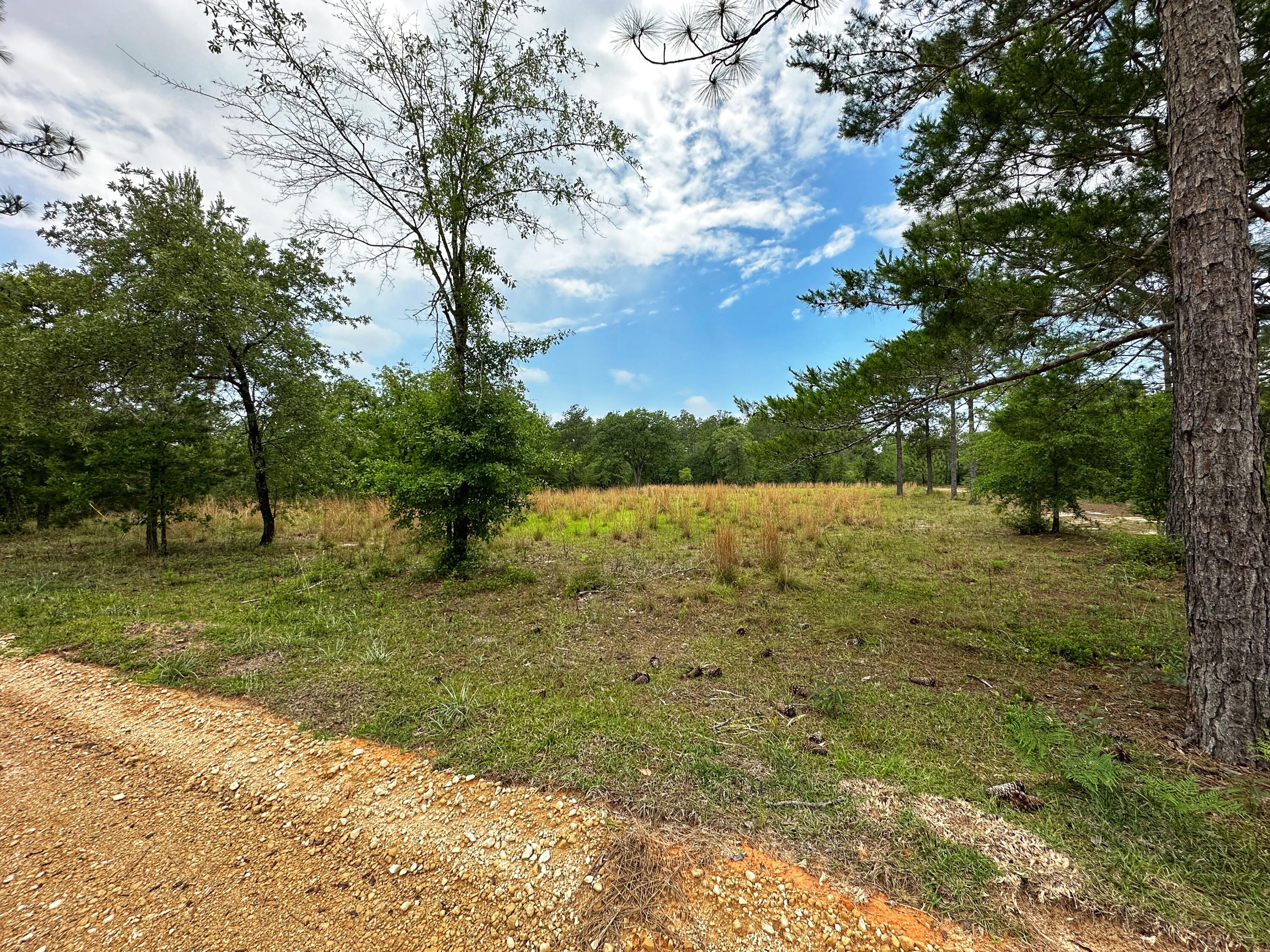 OAKWOOD HILLS UNIT IV - Land