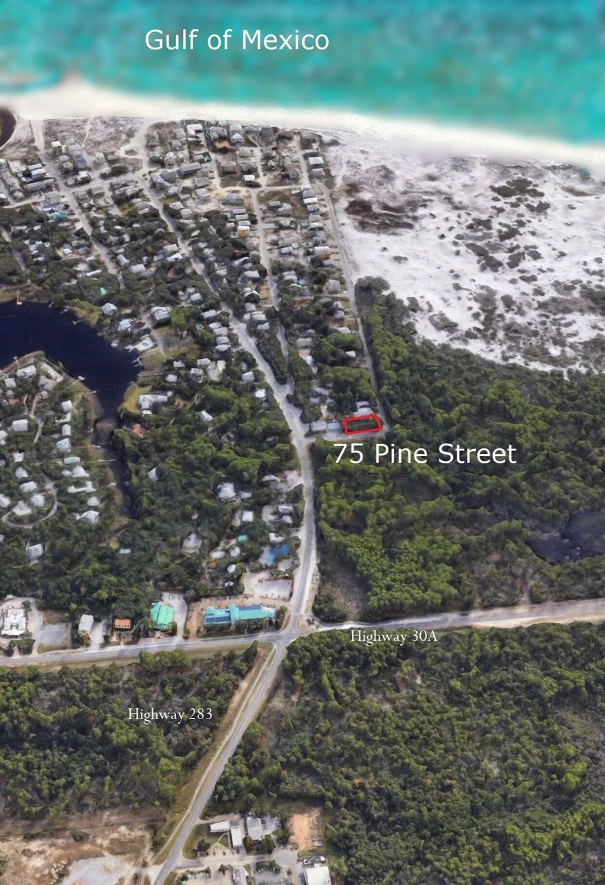 Lowest priced opportunity in Grayton Beach to build your beach retreat. This ideal homesite is a corner lot perfectly situated across from the Western portion of Grayton Beach State Park, providing forever protected views of natural beauty from the North and West sides. This homesite brings the opportunity to build a dream home among a natural sanctuary on coveted Pine Street overlooking groves of pine trees and home to white tail deer and other wildlife. This parcel boasts a high elevation, is dry and loaded with natural vegetation. Build your home at Grayton, aka the Local's Beach and enjoy the amazing beaches, great shopping, and incredible restaurant while living at your hideaway at the Gulf.
