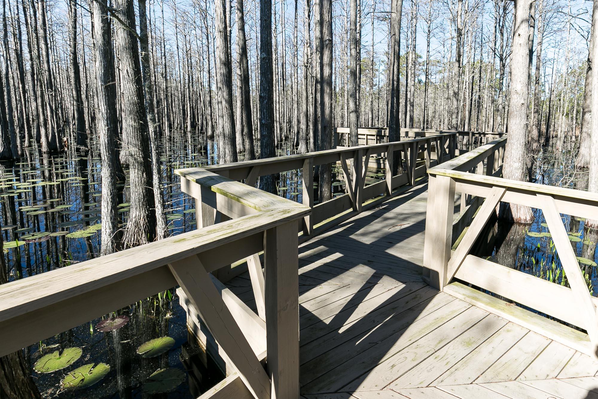 CYPRESS DUNES - Residential