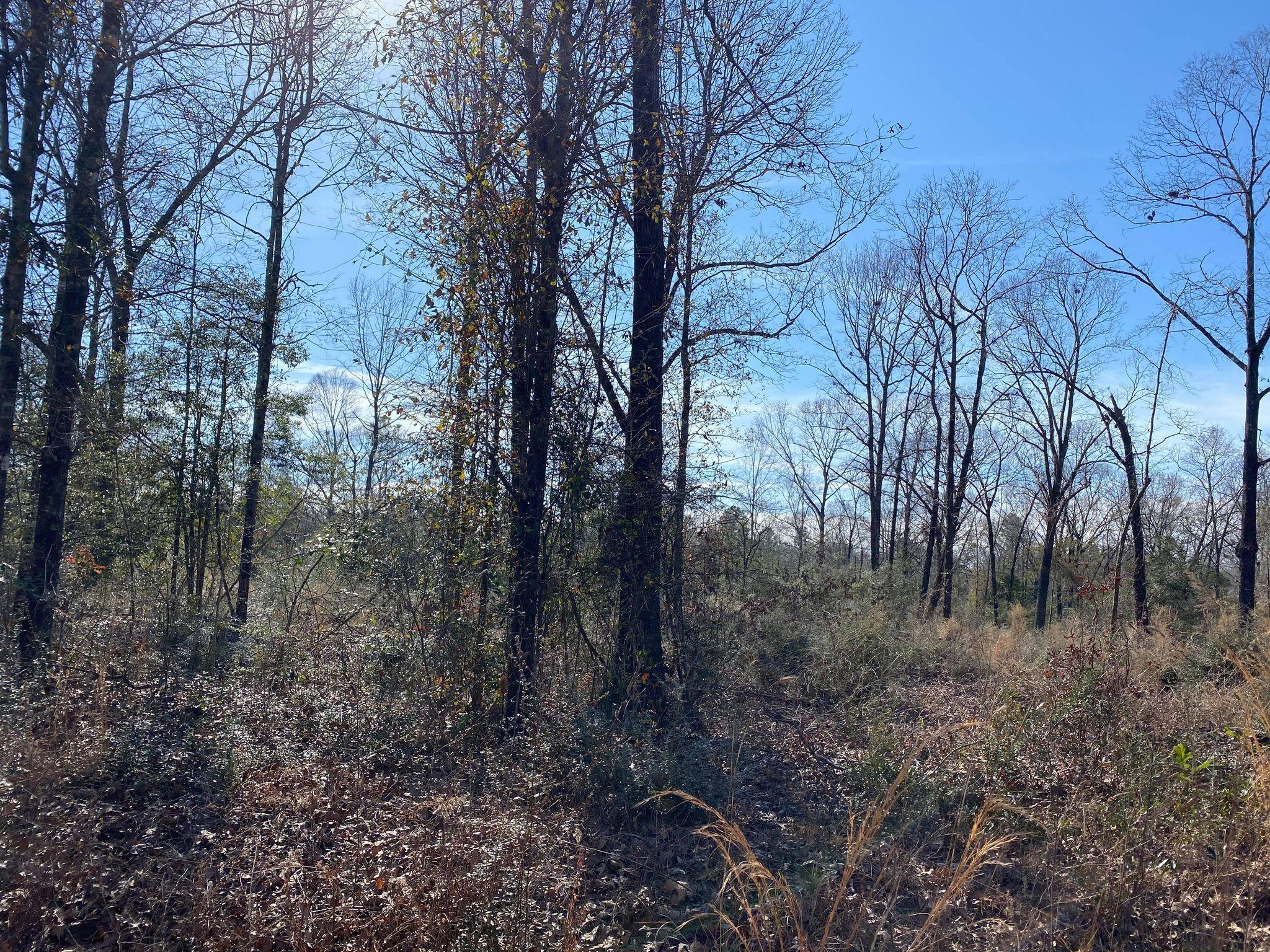 Looking for the perfect place to build your forever home?
