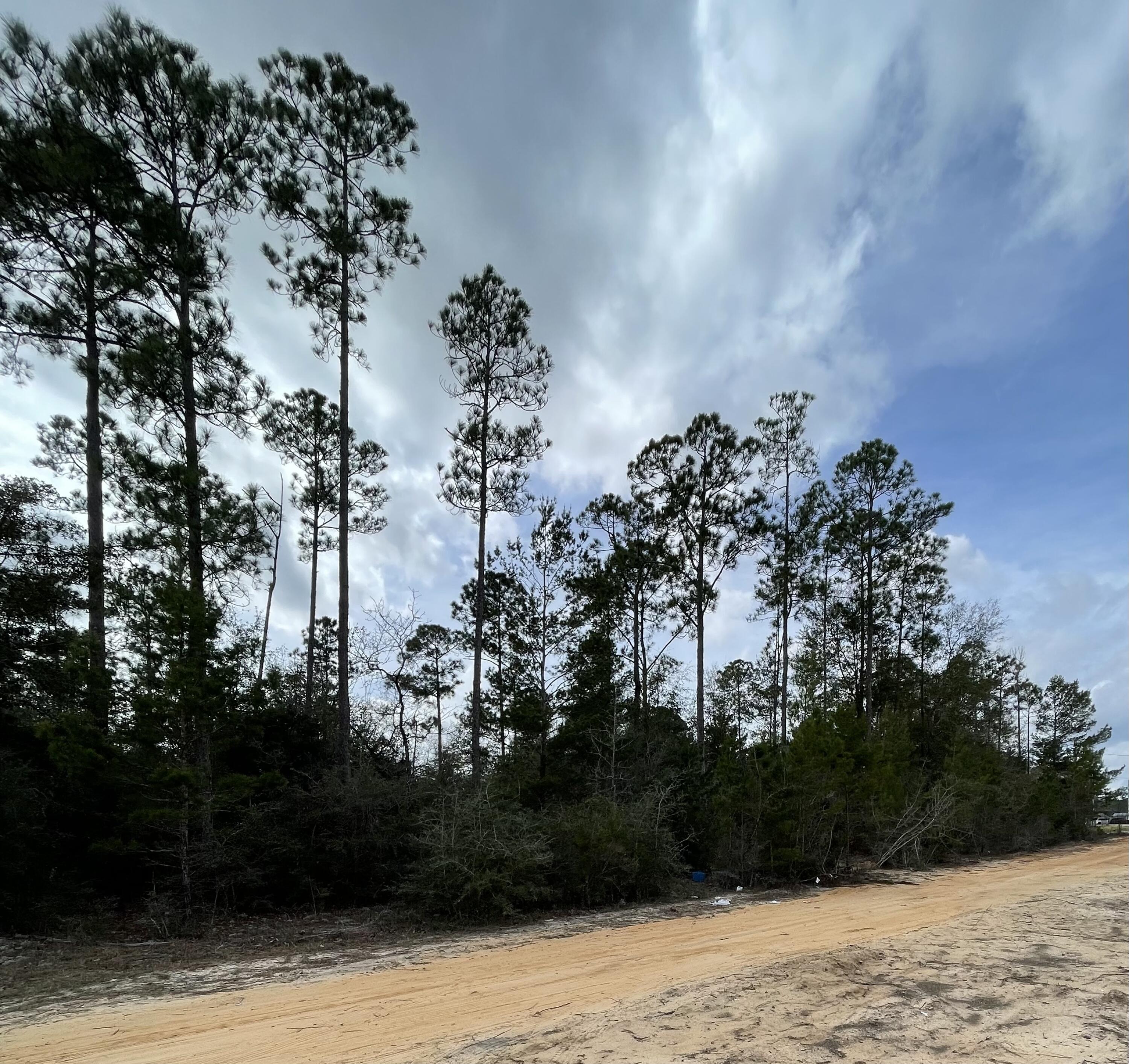 CV PINES/TRIPLE LAKE - Land