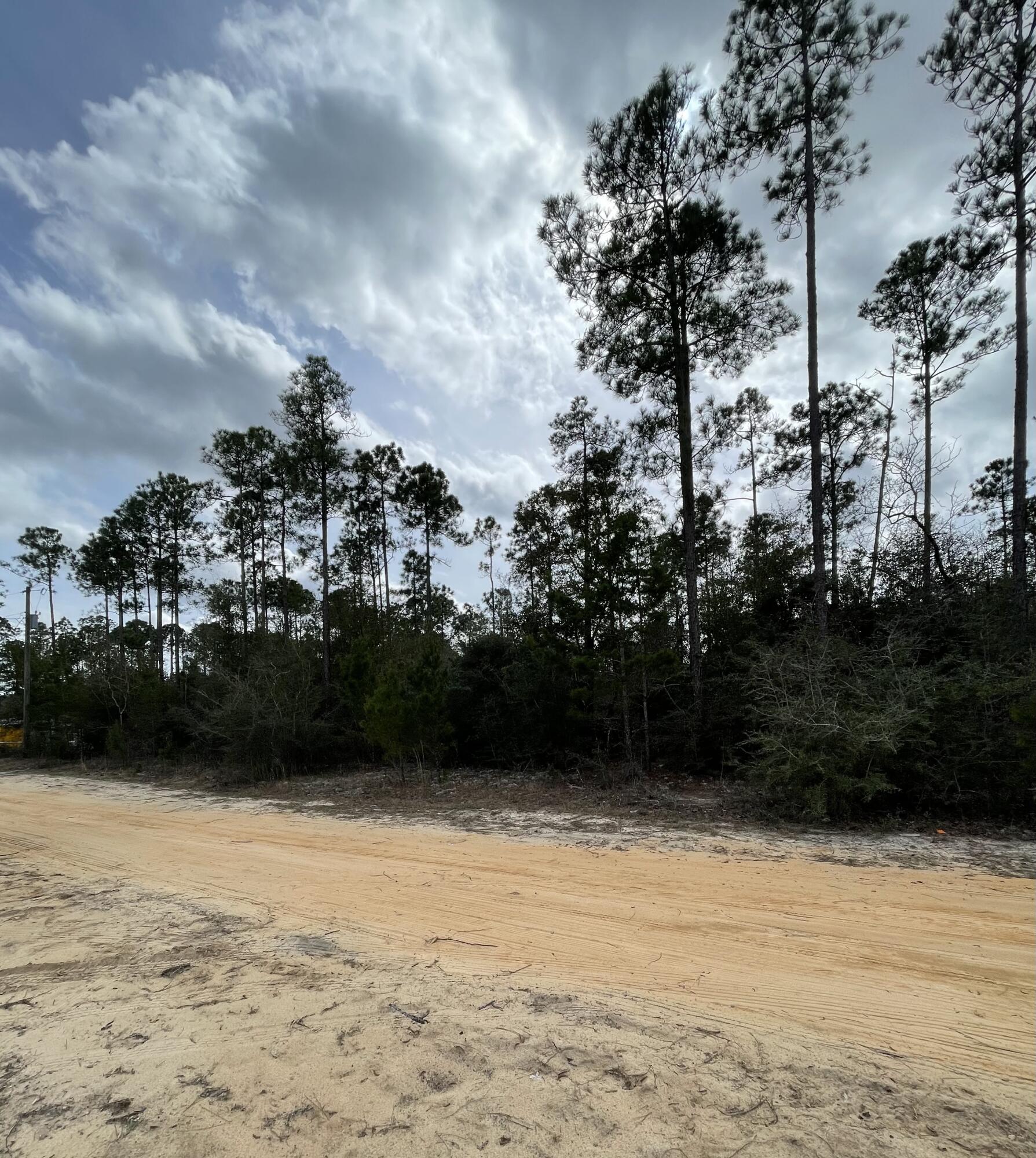 CV PINES/TRIPLE LAKE - Land