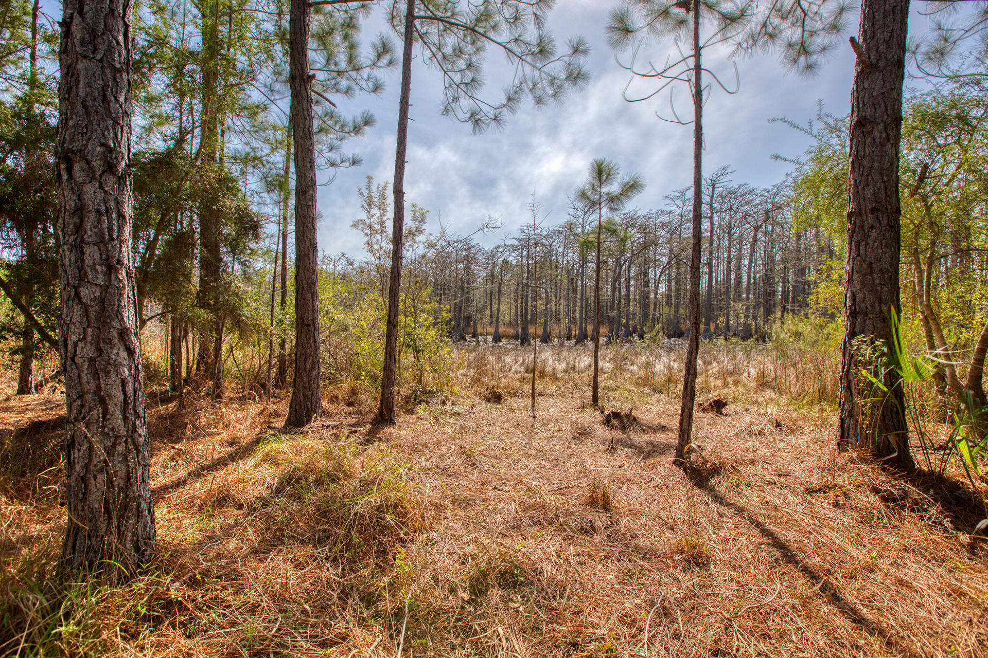 CYPRESS DUNES - Residential