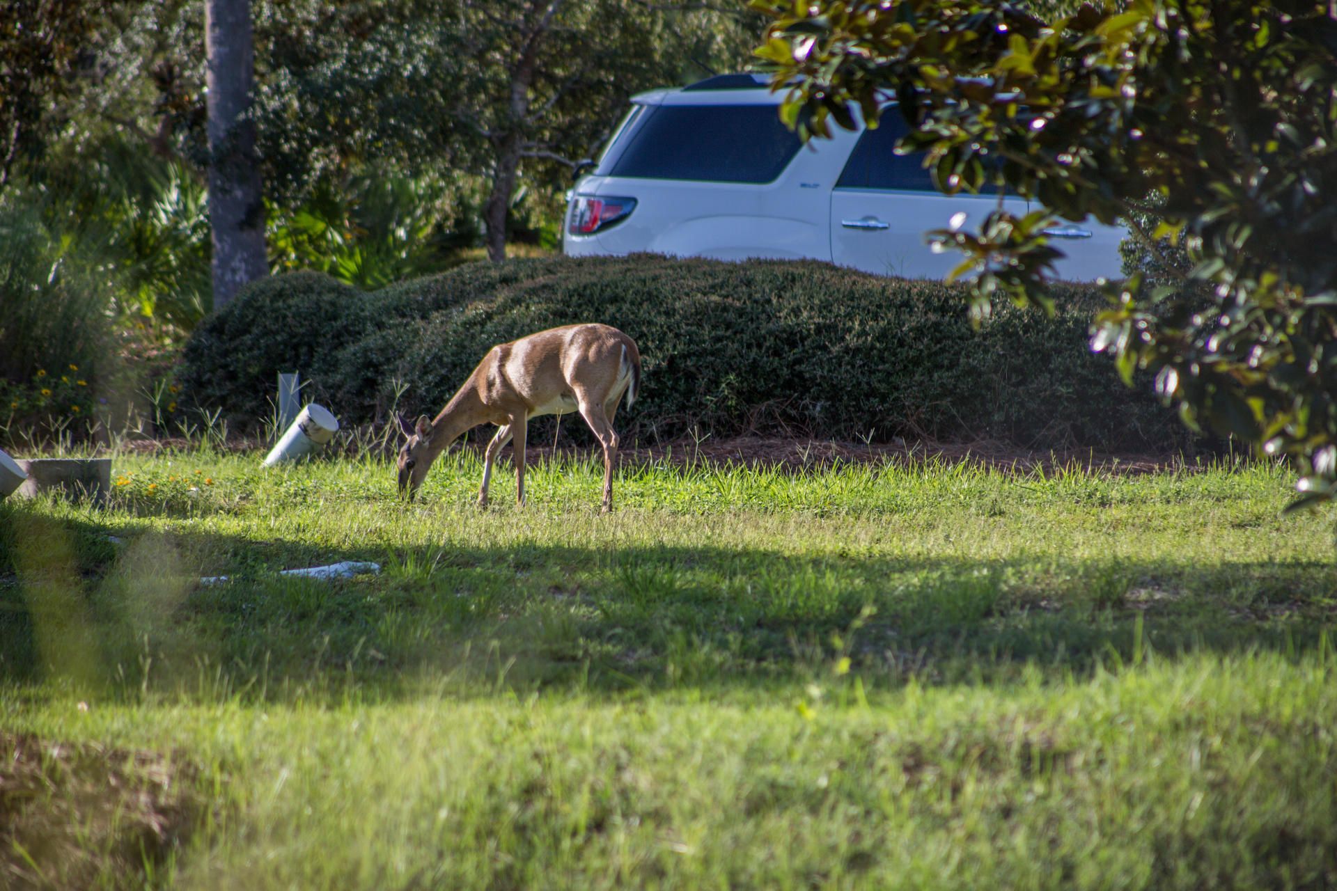 CYPRESS DUNES - Residential
