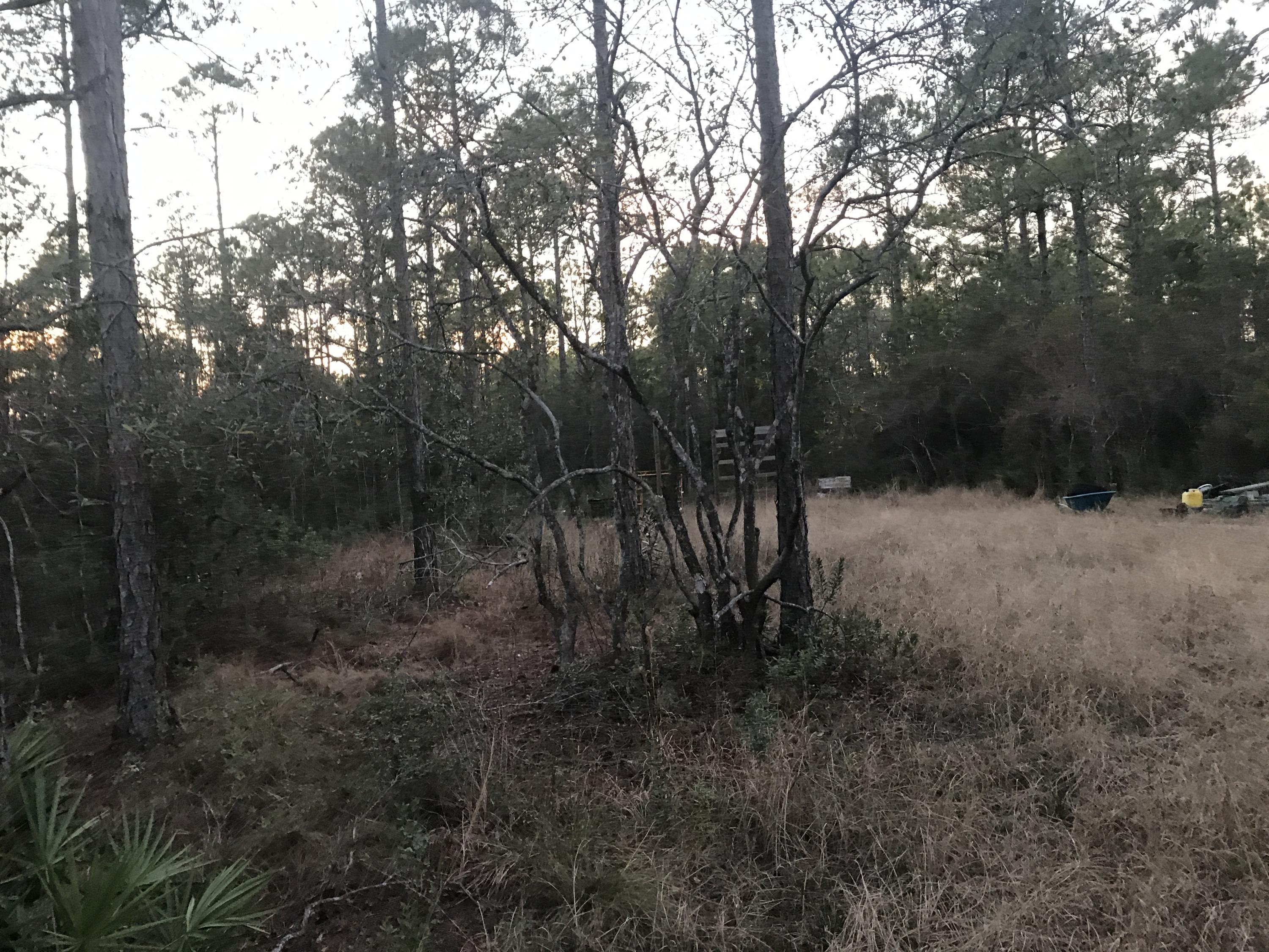 TOWN OF SANTA ROSA - Land