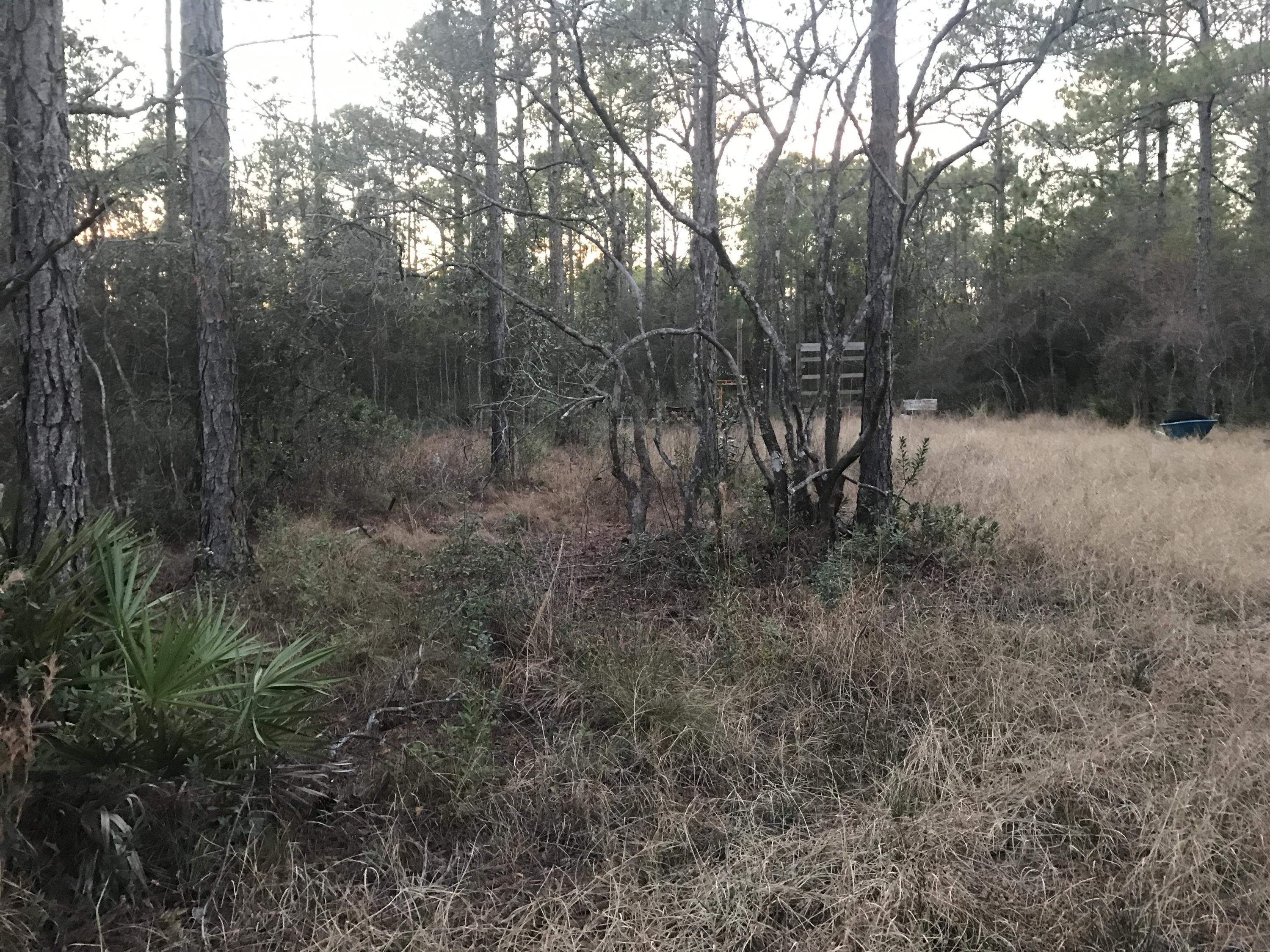 TOWN OF SANTA ROSA - Land