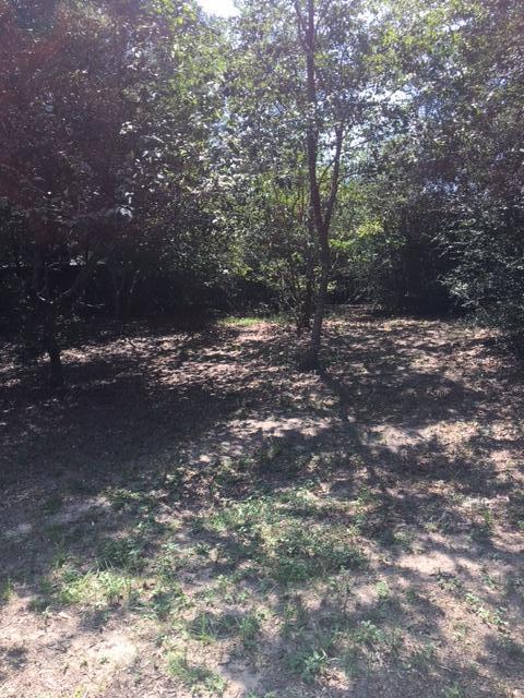 COUNTRYVIEW ESTATES 1ST ADDN - Residential