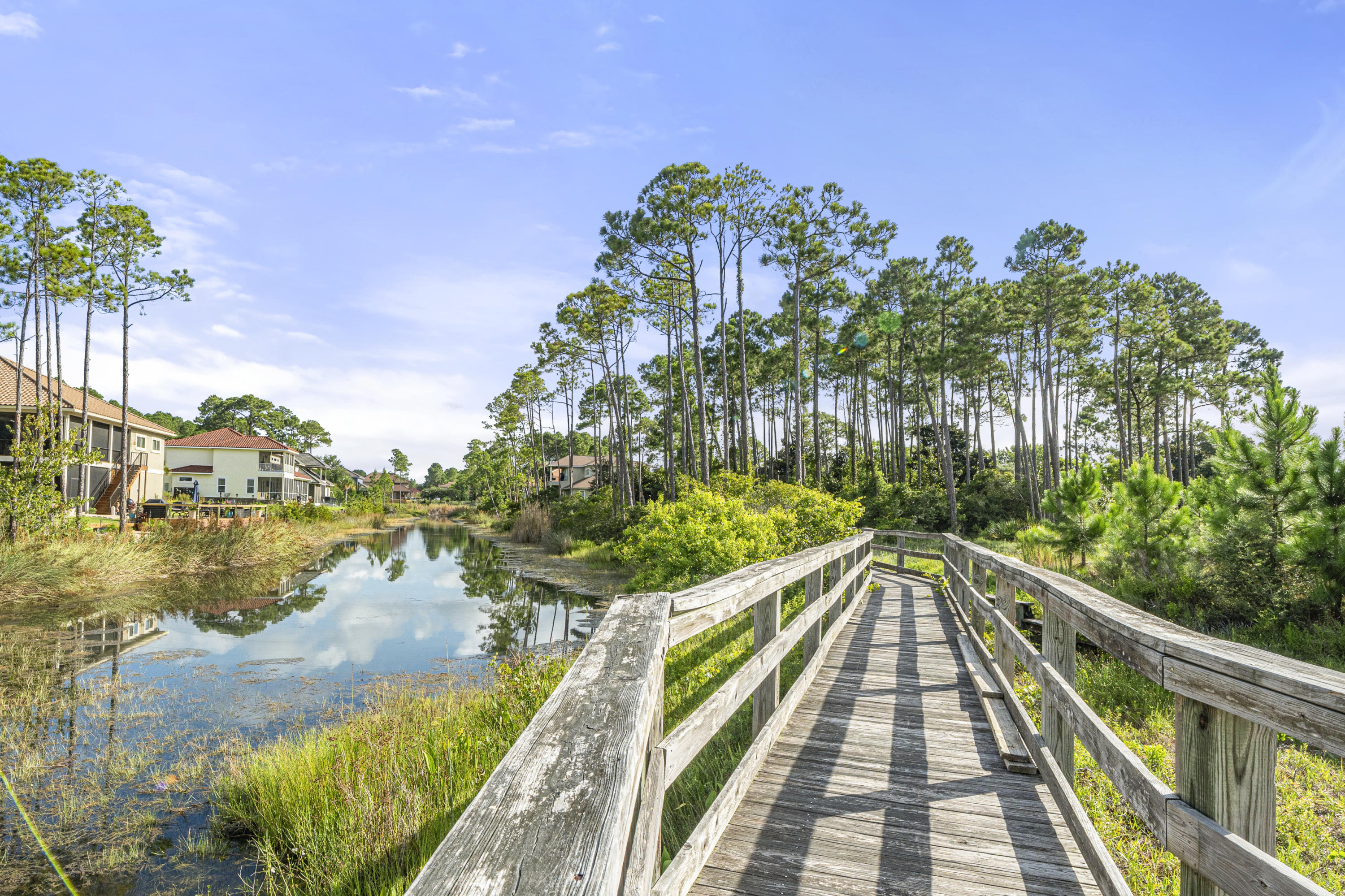 PALMETTO LAKE PRESERVE - Residential