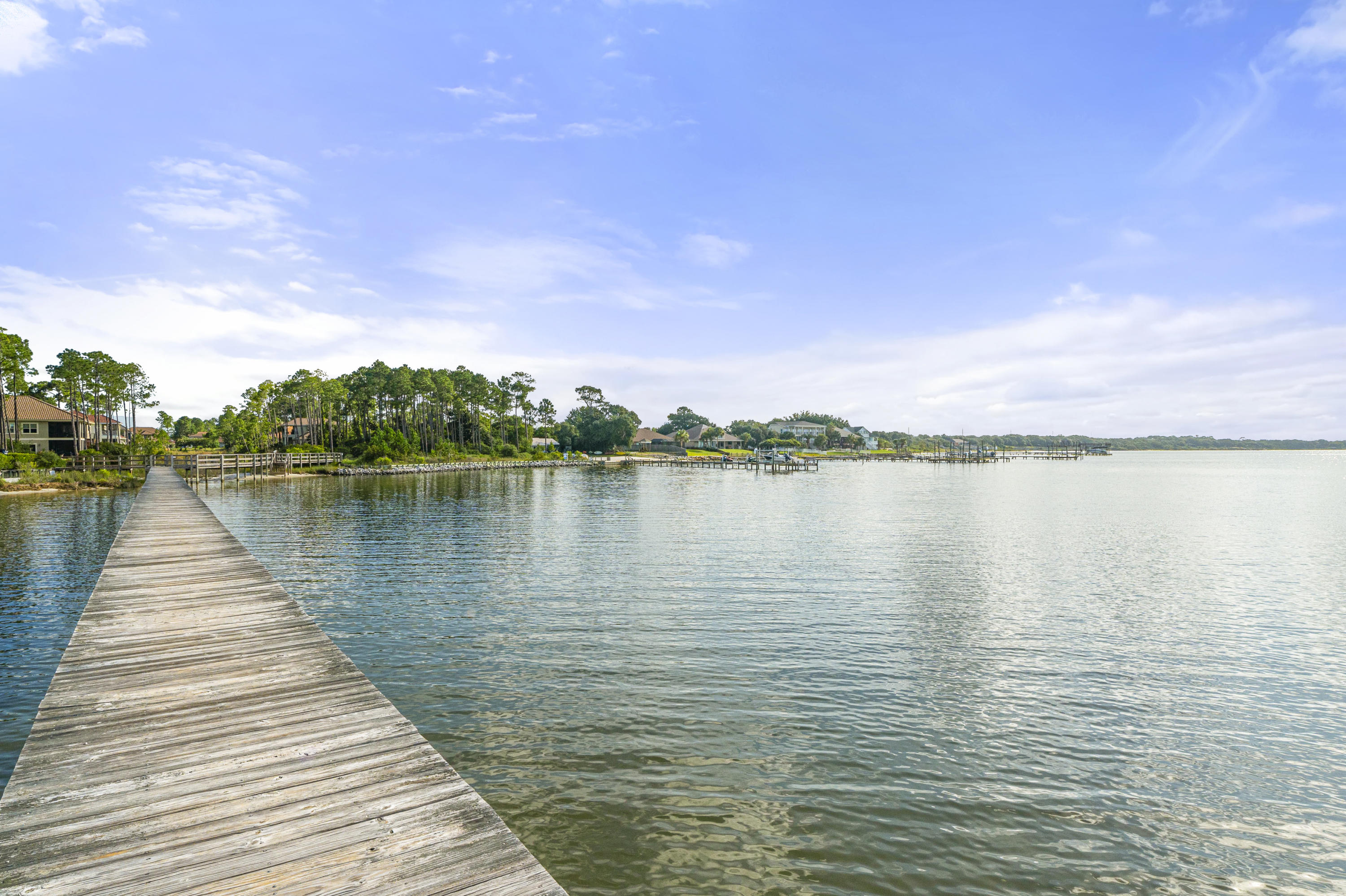 PALMETTO LAKE PRESERVE - Residential