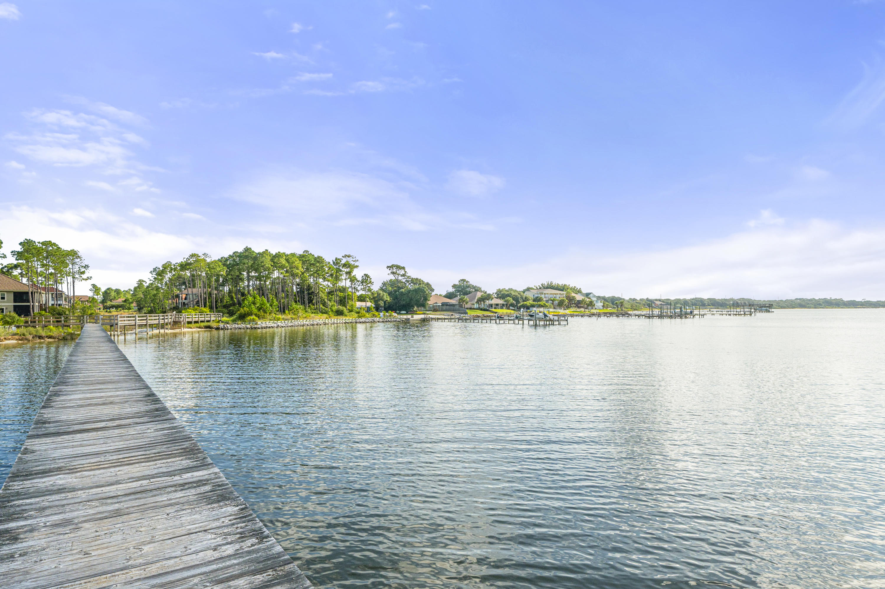 PALMETTO LAKE PRESERVE - Residential