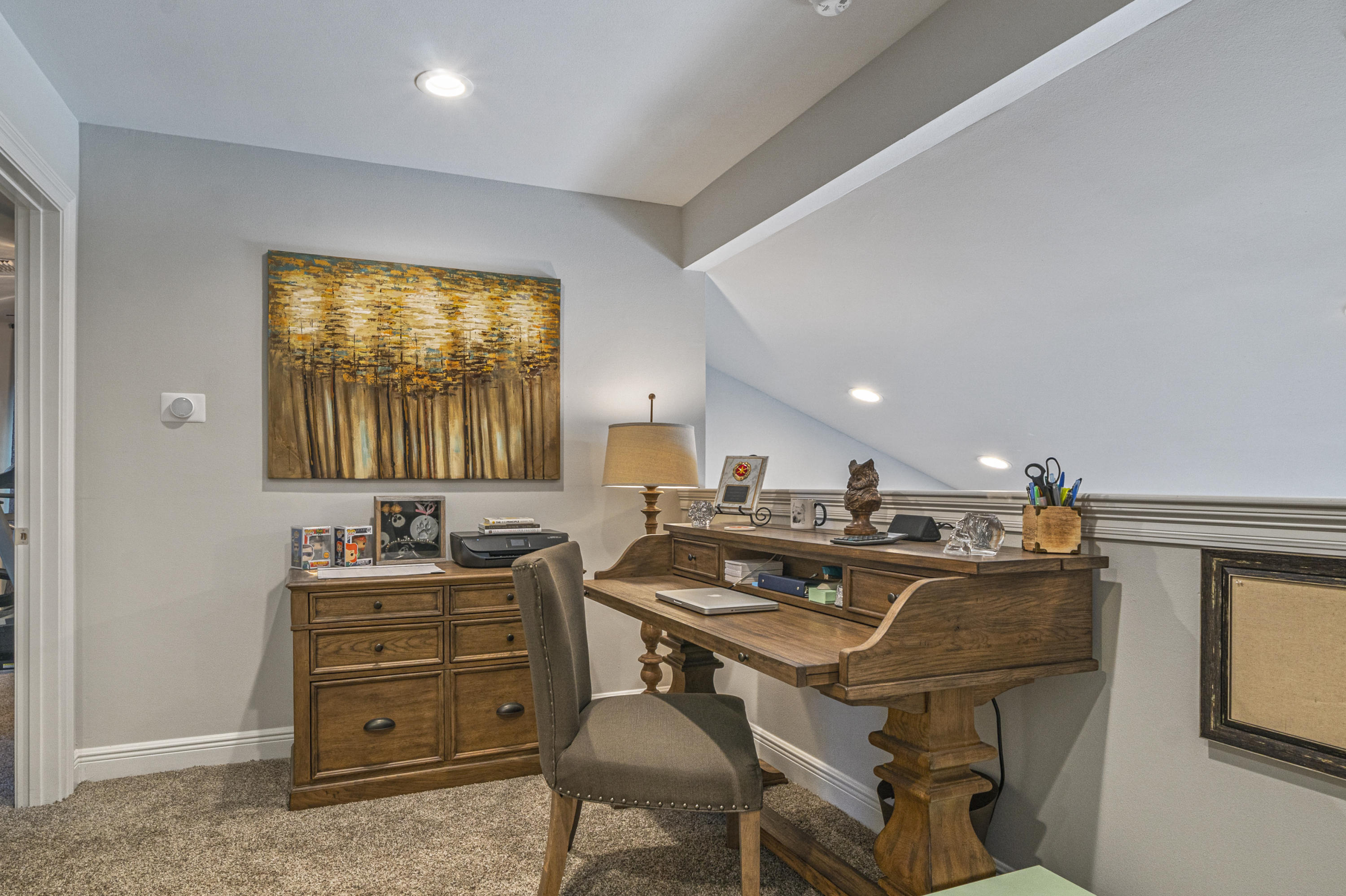 PALMETTO LAKE PRESERVE - Residential