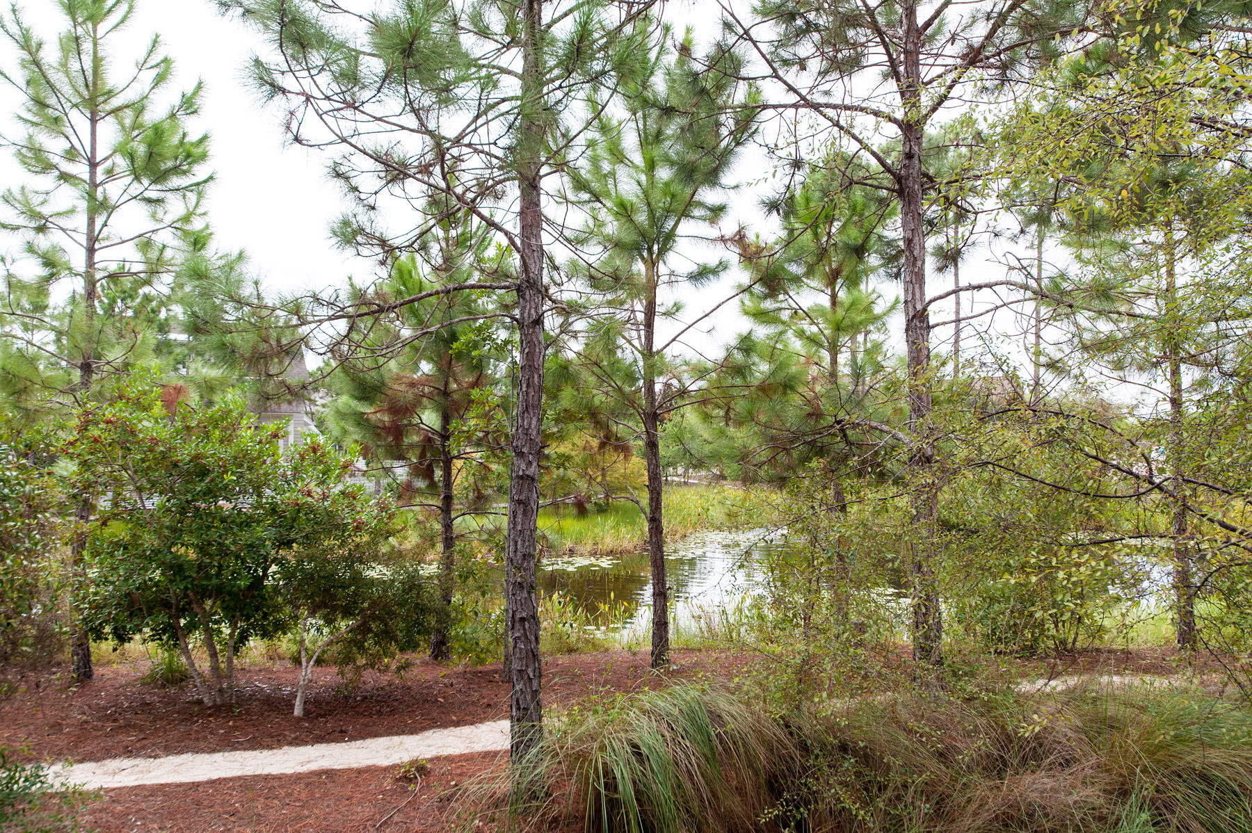 WATERSOUND BEACH - Residential