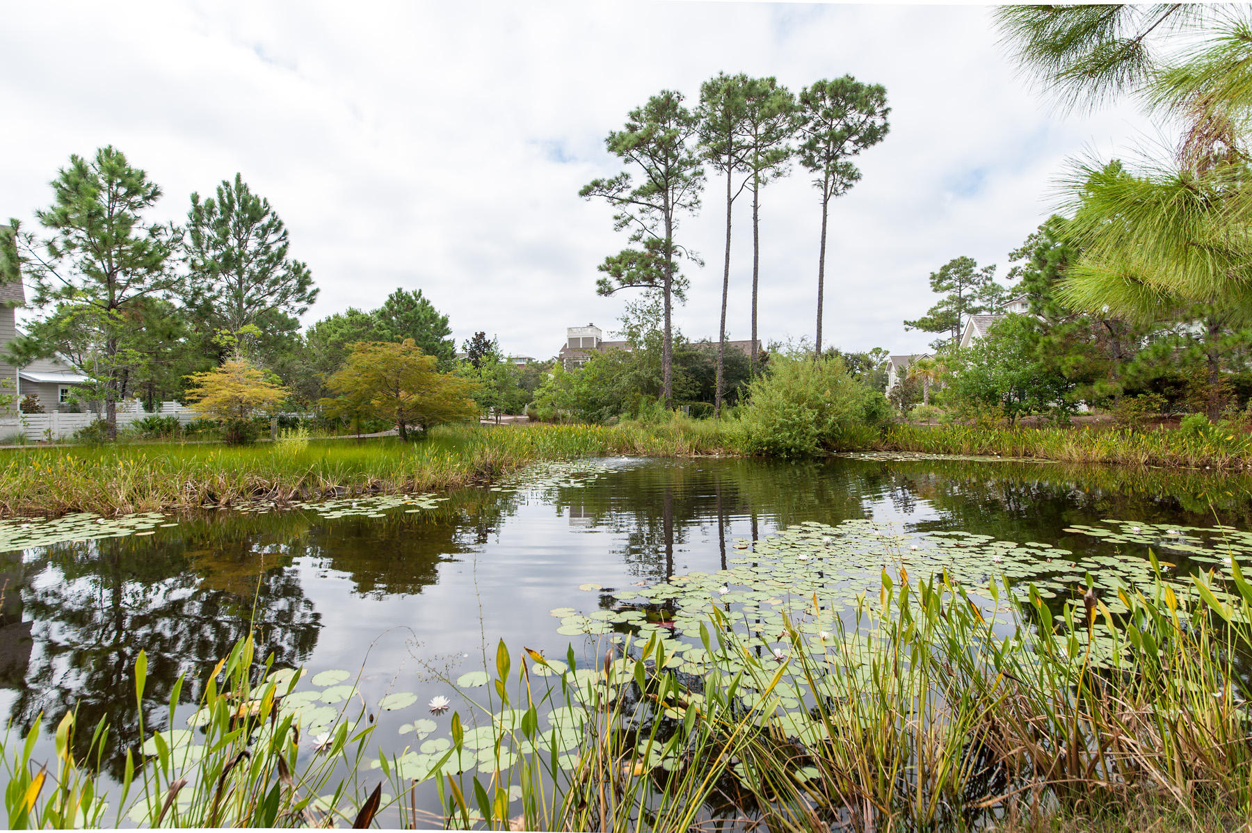 WATERSOUND BEACH - Residential