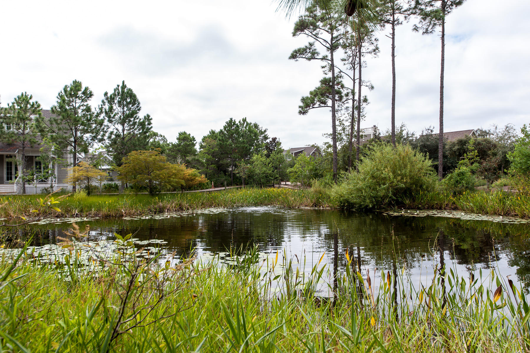 WATERSOUND BEACH - Residential