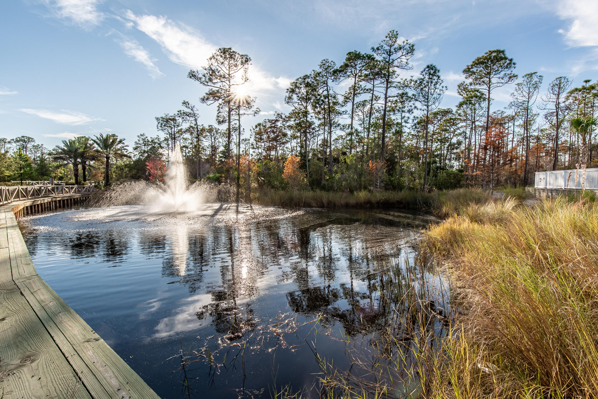 NatureWalk at Seagrove - Residential