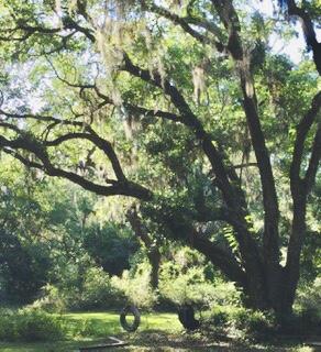 Mack Bayou - Residential