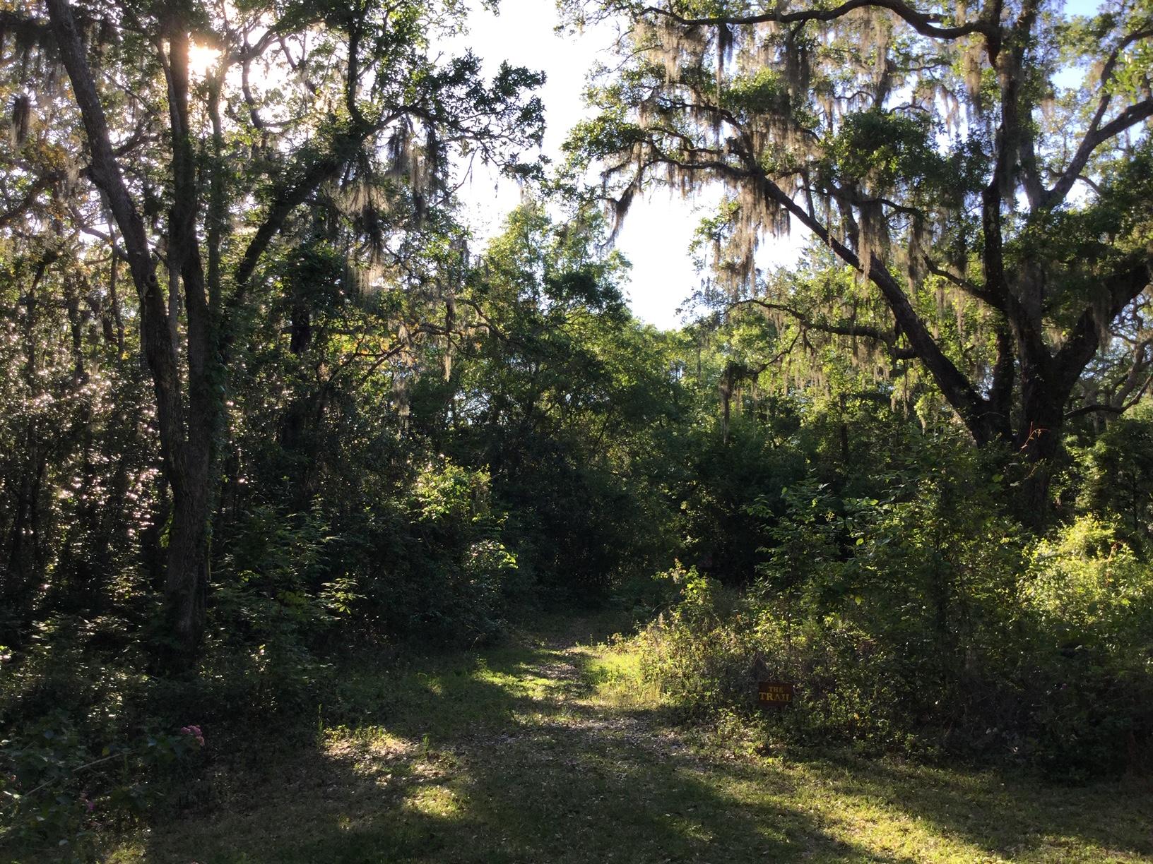 Mack Bayou - Residential