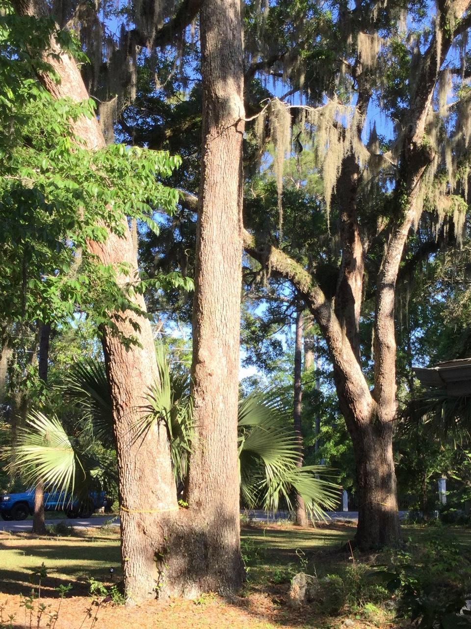 Mack Bayou - Residential