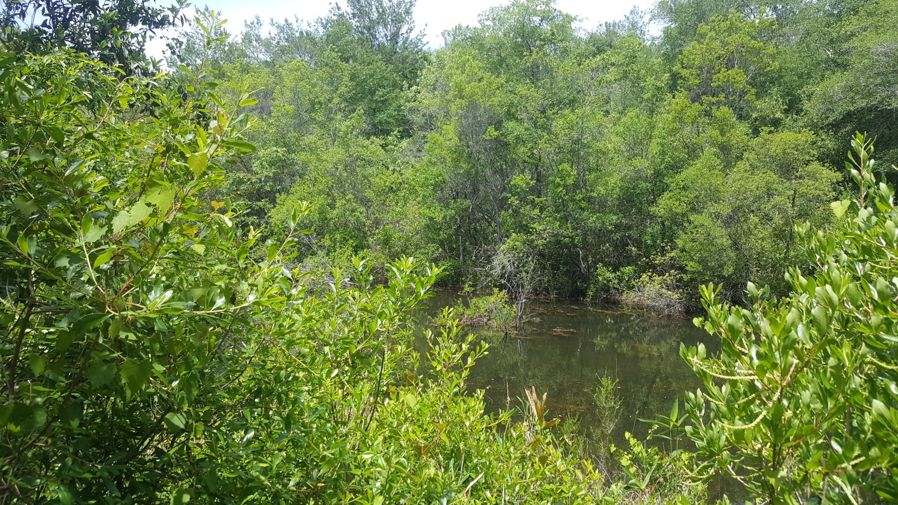 WATERFRONT ON HINOTE - Land
